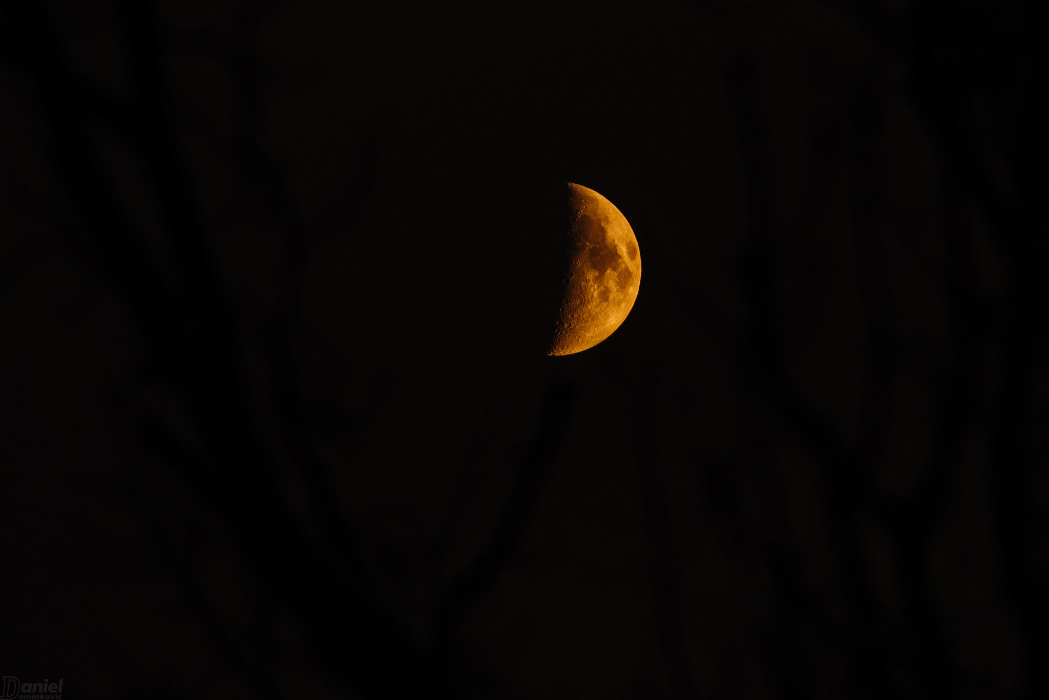 AF Nikkor 300mm f/4 IF-ED sample photo. Half ducat photography