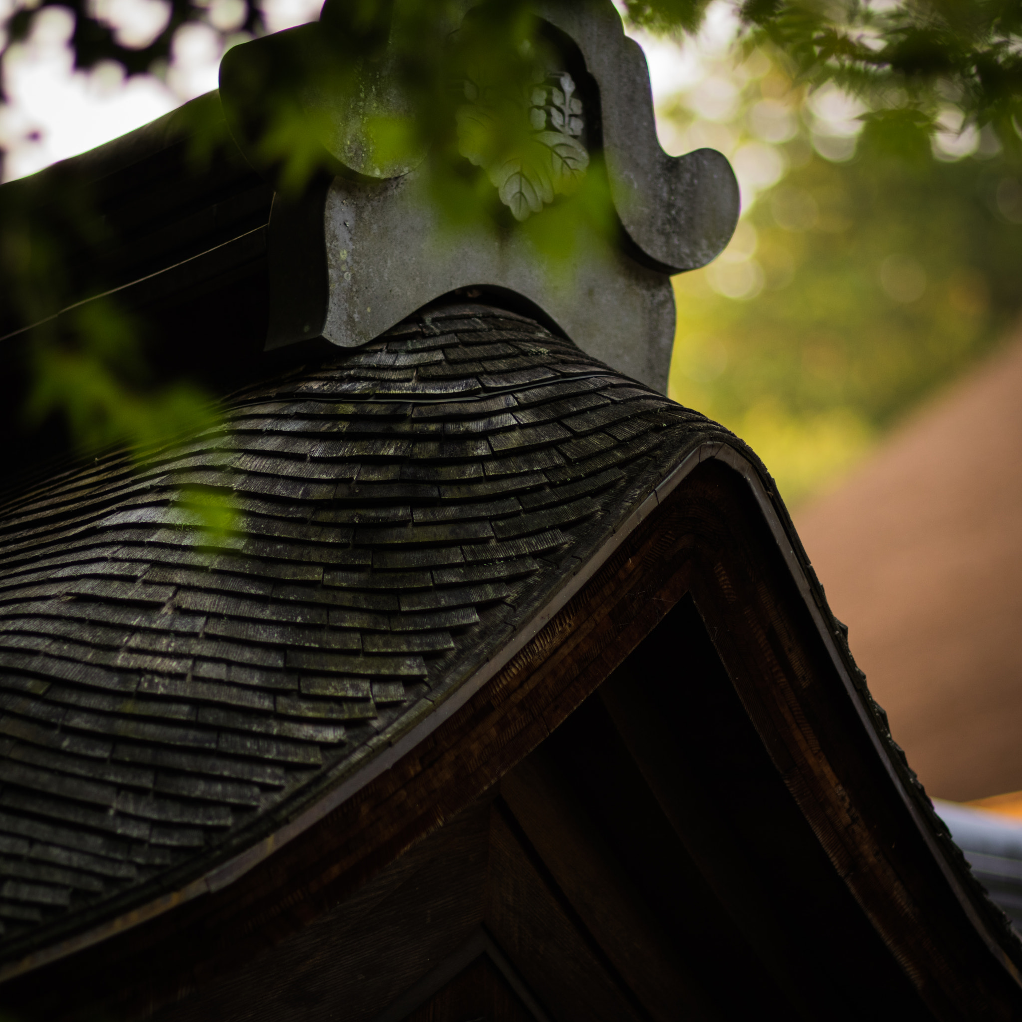 Pentax K-3 II sample photo. A roof photography