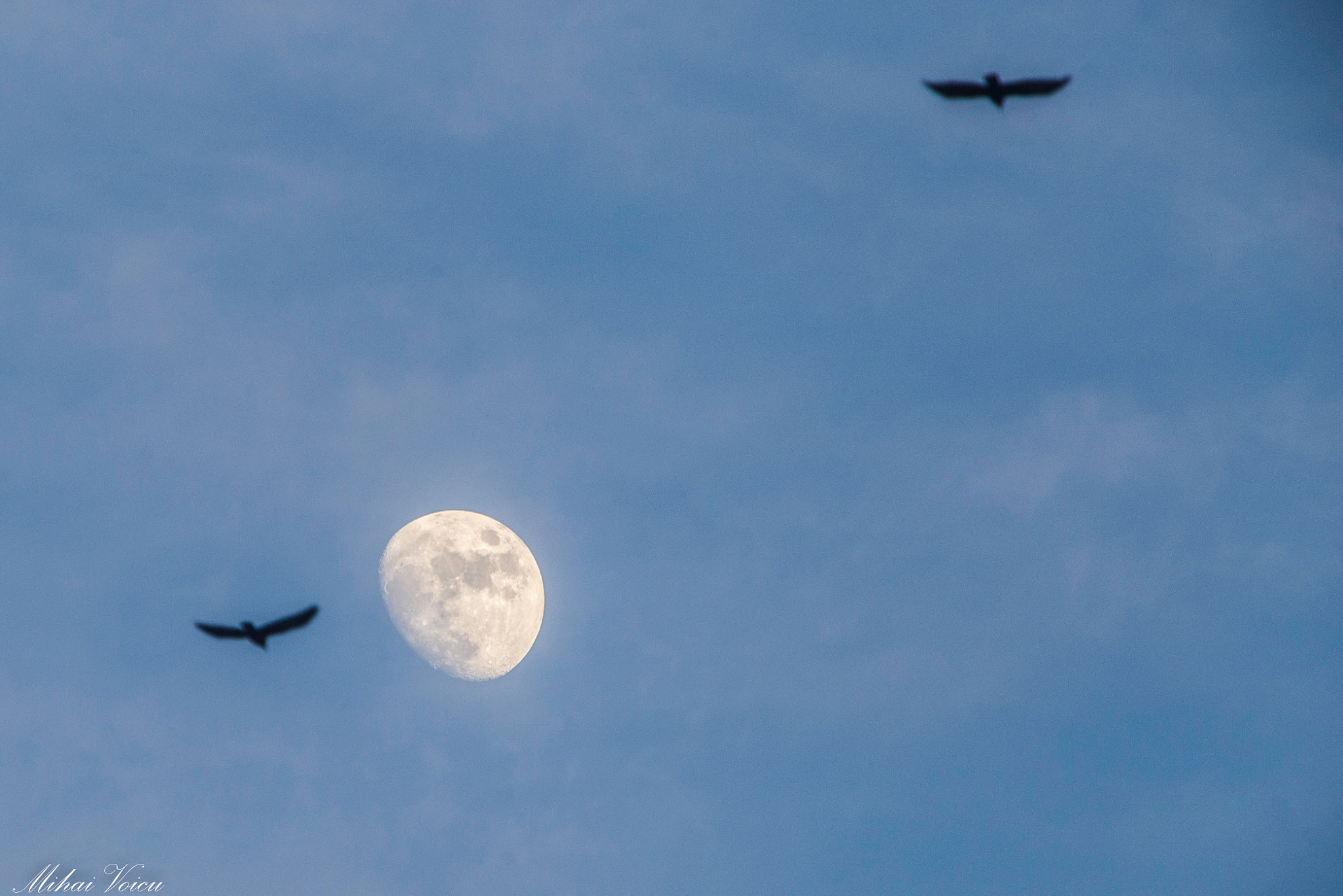 Canon EF 70-200mm F2.8L IS USM sample photo. Moon photography