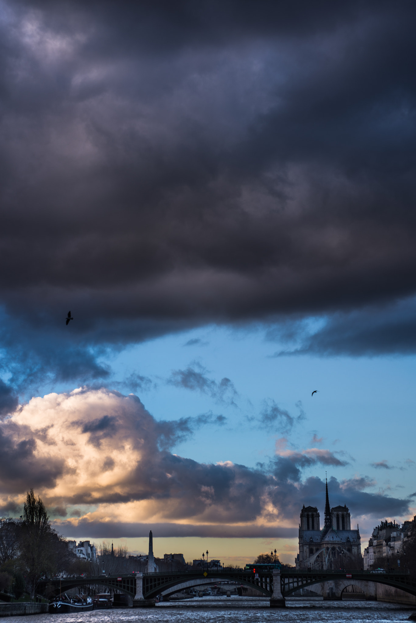 Nikon D610 + AF Zoom-Nikkor 35-70mm f/2.8D sample photo. Parisian landscapes - notre dame photography