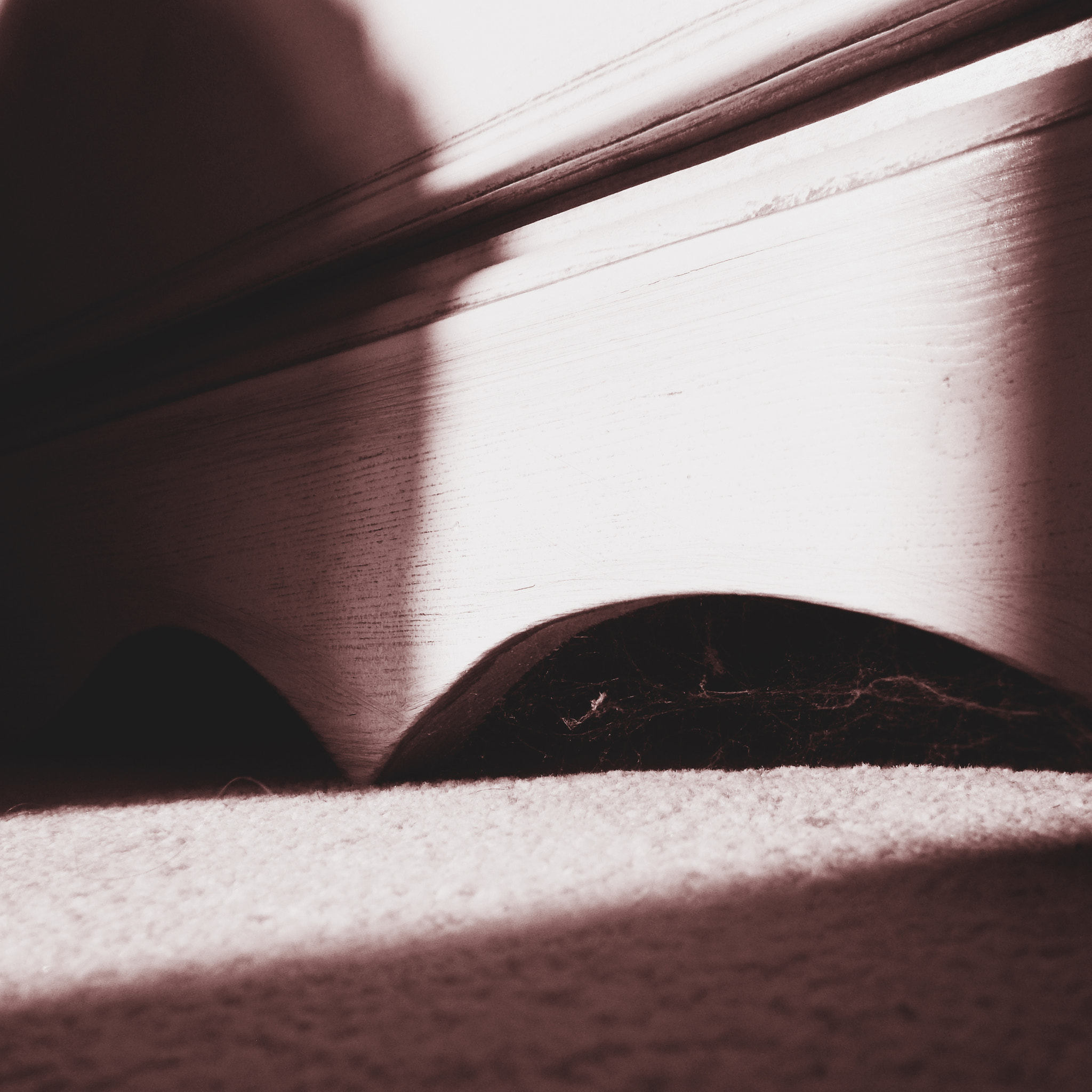 Nikon COOLPIX L27 sample photo. Moyra davey final edit photography