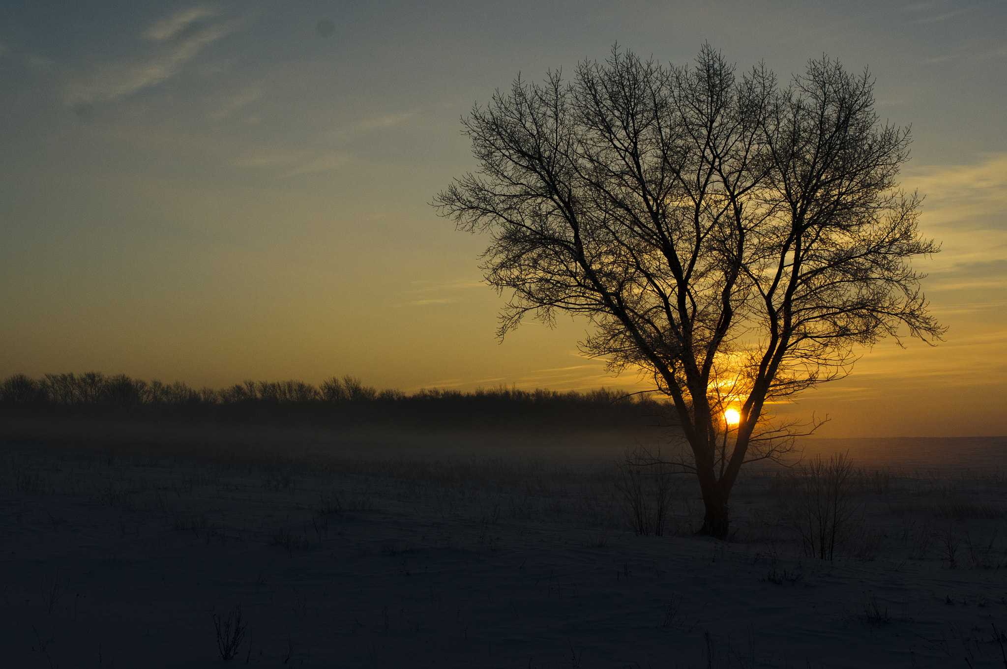 Sony Alpha DSLR-A580 + Sony DT 35mm F1.8 SAM sample photo. Morning frost photography