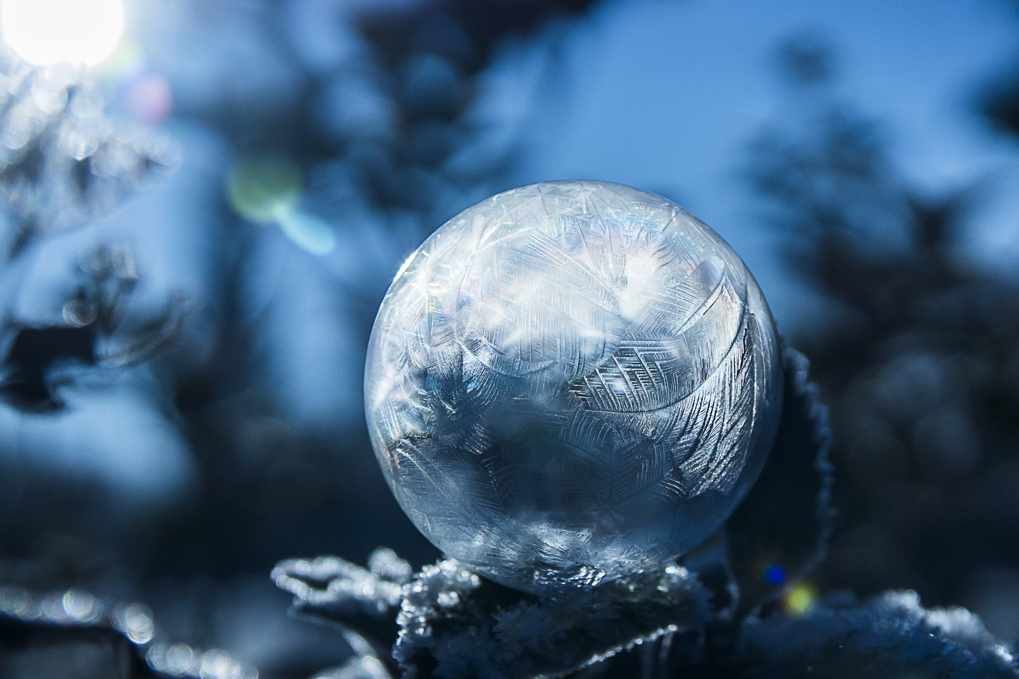 Sony SLT-A77 + 17-50mm F2.8 sample photo. Frozen photography