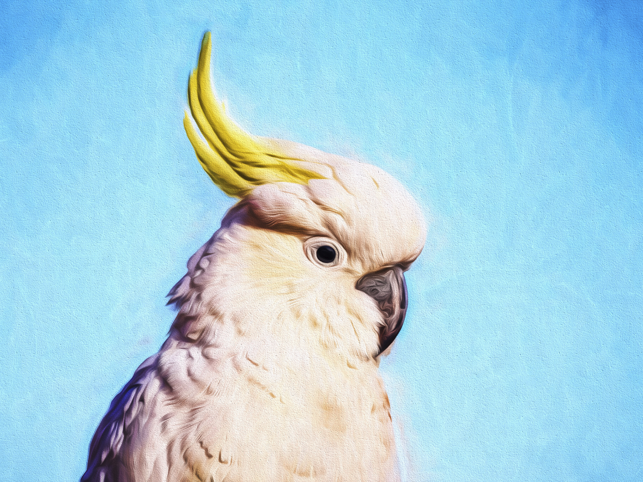 Panasonic Lumix G X Vario 35-100mm F2.8 OIS sample photo. Sulphur crested cockatoo photography