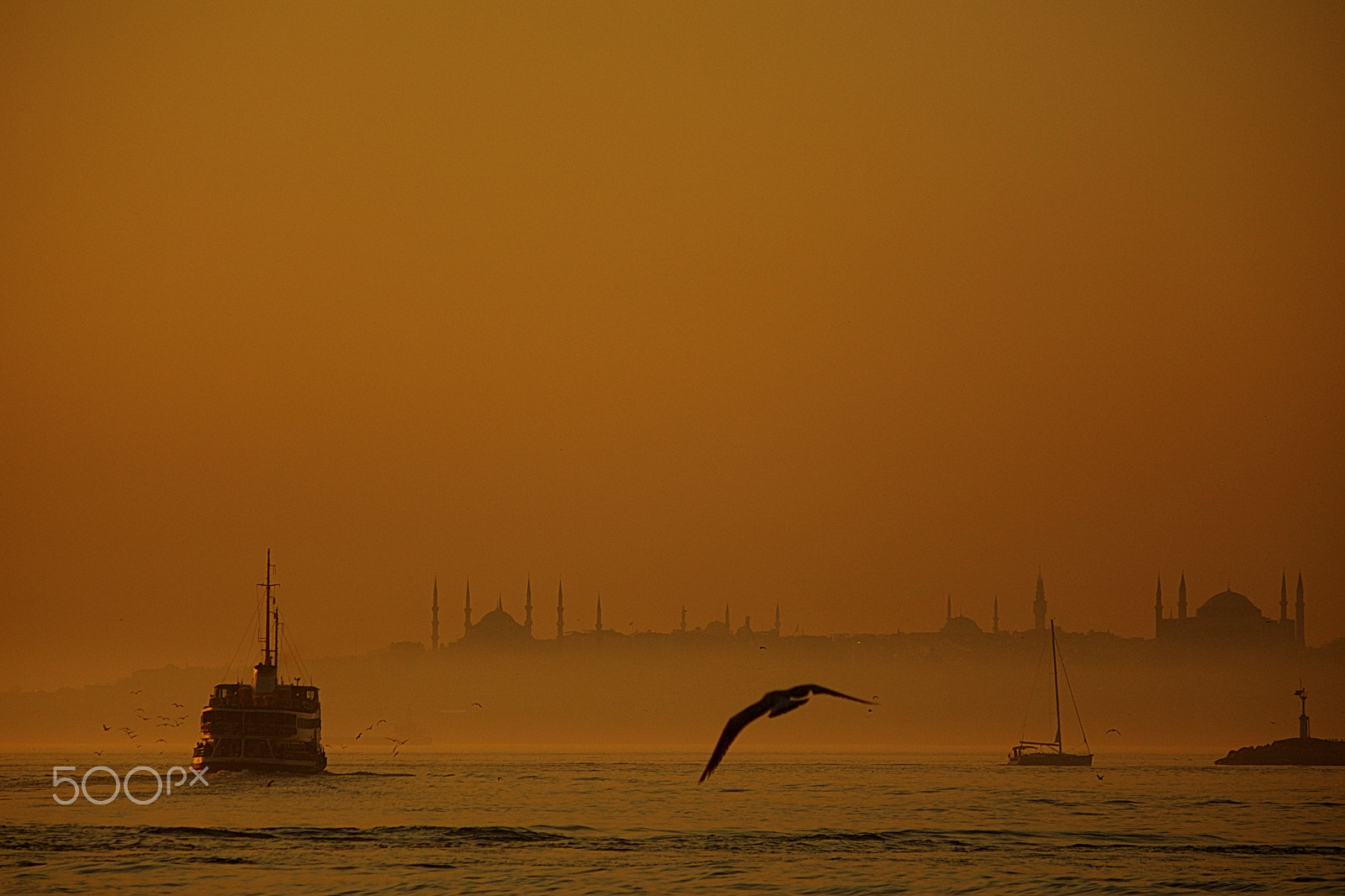 Canon EF-S 55-250mm F4-5.6 IS II sample photo. 8. photography