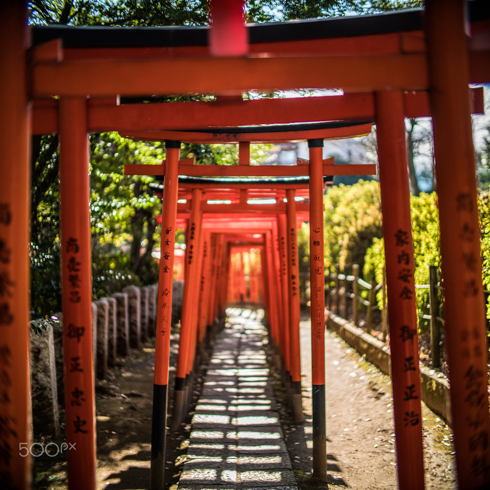 Sony a7R II + Canon EF 35mm F1.4L USM sample photo. Torii gates path photography