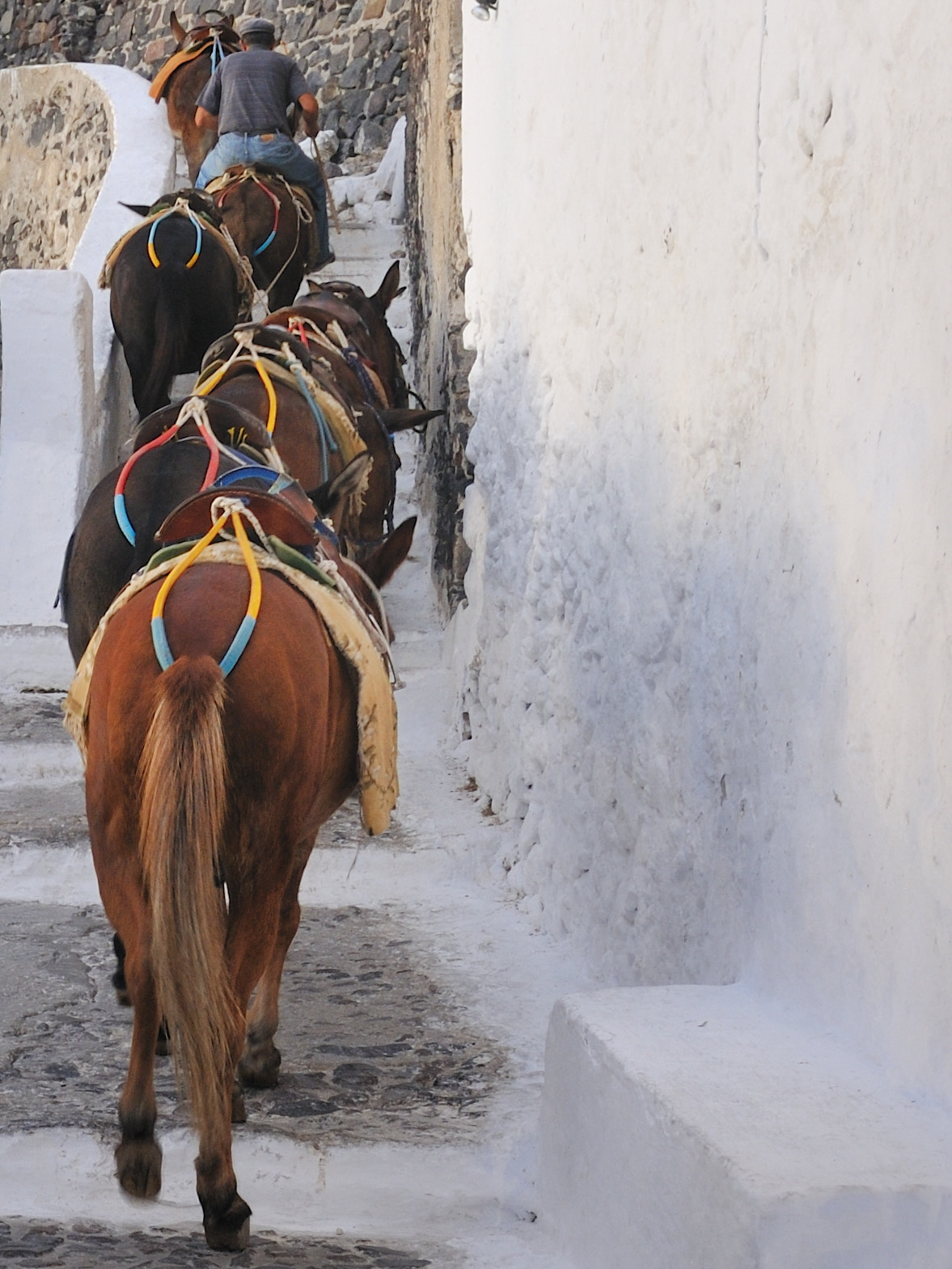 Nikon D300 + AF Nikkor 24mm f/2.8 sample photo. Santorini photography