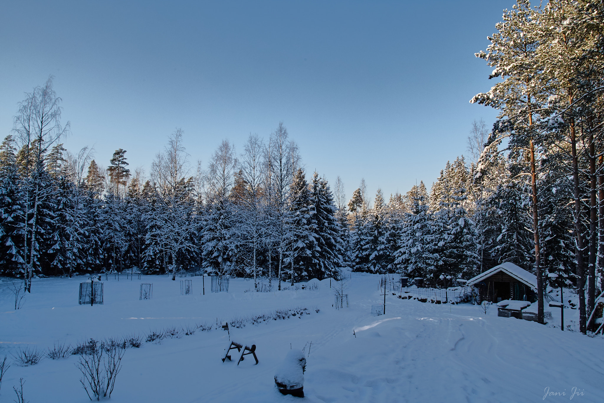 Canon EOS-1D Mark III + Canon EF 20-35mm f/2.8L sample photo. Home yard in winter photography