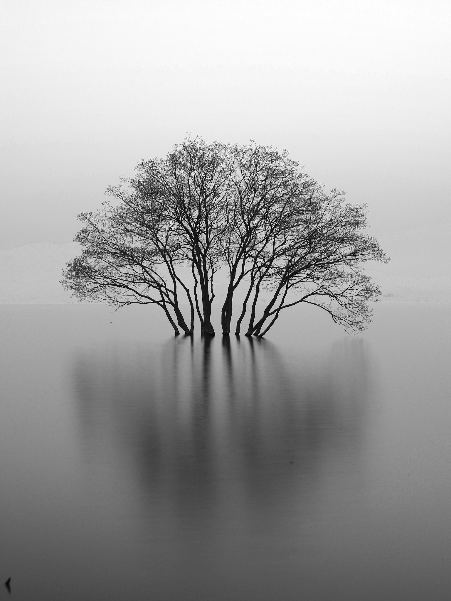smc PENTAX-FA 645 55-110mm F5.6 sample photo. 예당호 photography