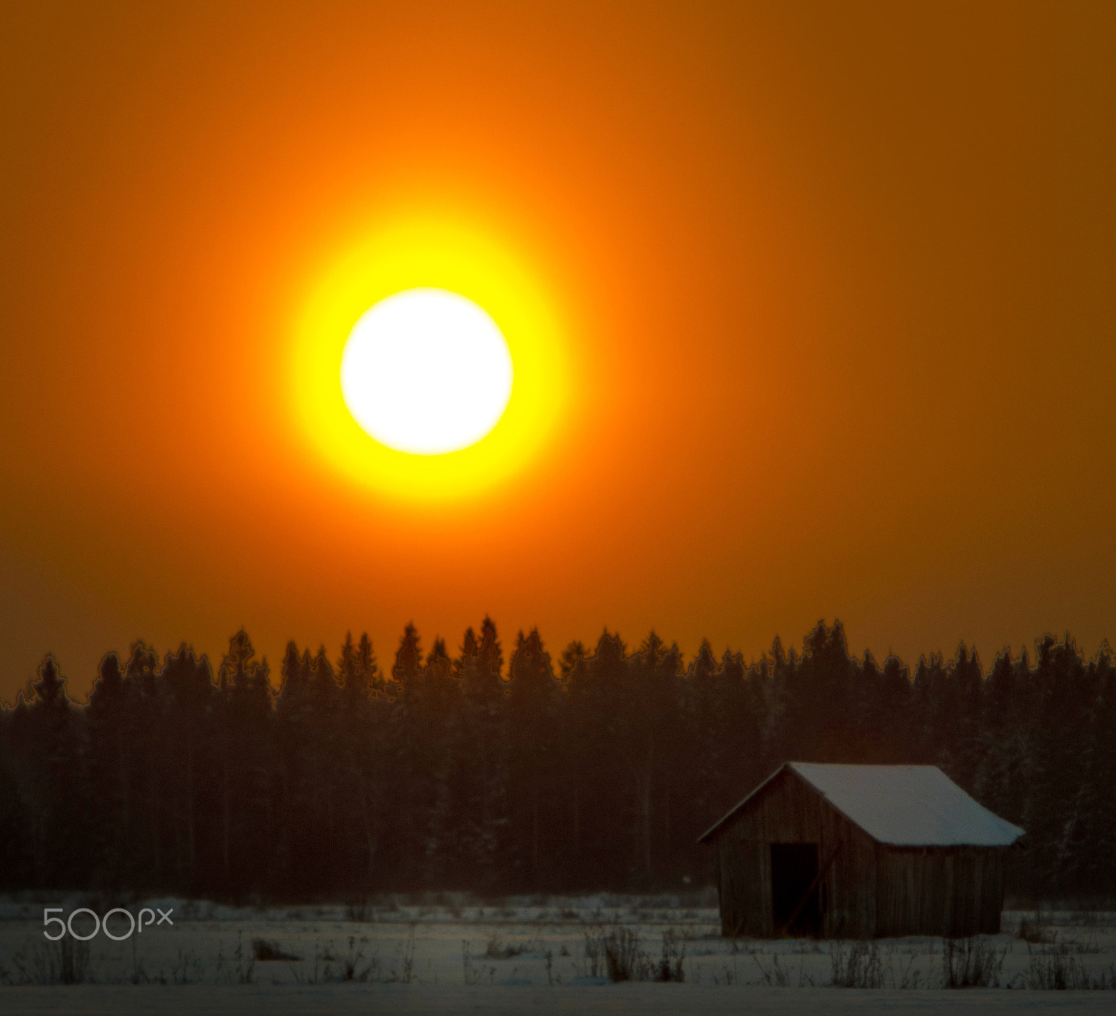 Canon EF 70-200mm F2.8L IS USM sample photo. Sunflame photography