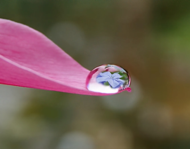 Sony DT 18-55mm F3.5-5.6 SAM sample photo