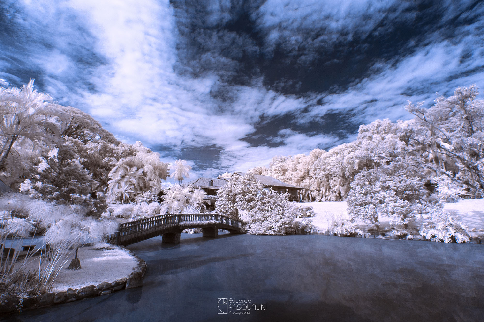Canon EOS 30D sample photo. Infrared garden photography