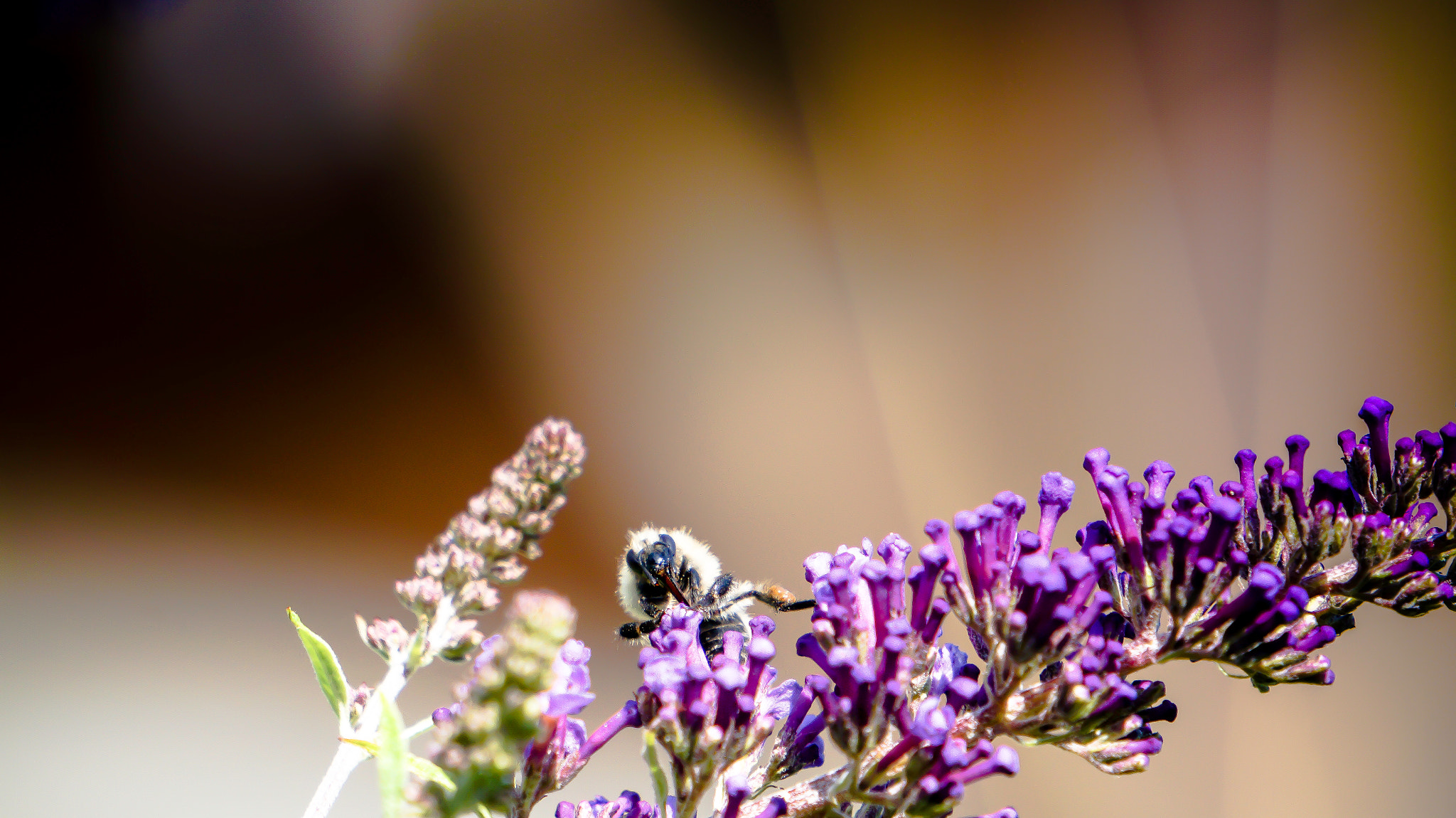 Sony Alpha a3000 sample photo. Le gouter feeling-art.com photography
