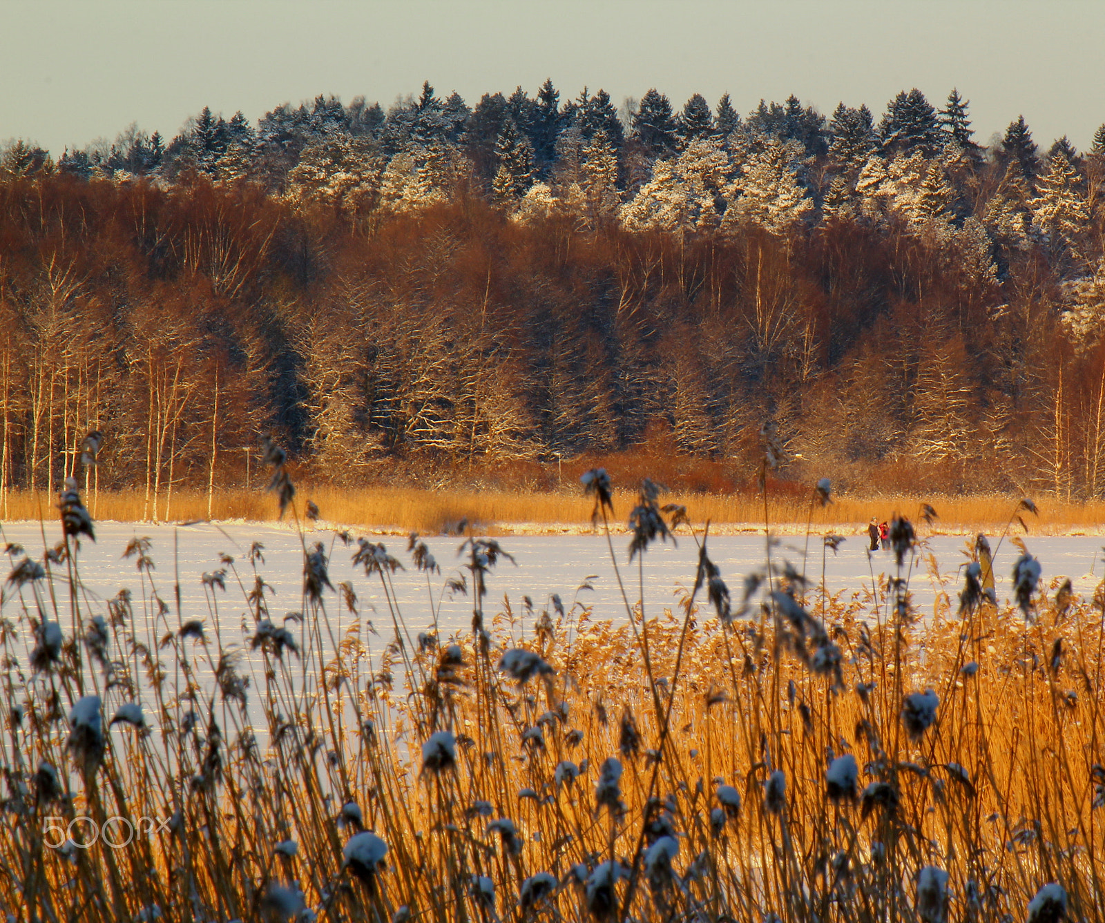 Canon EF-S 55-250mm F4-5.6 IS sample photo. Snow cover photography