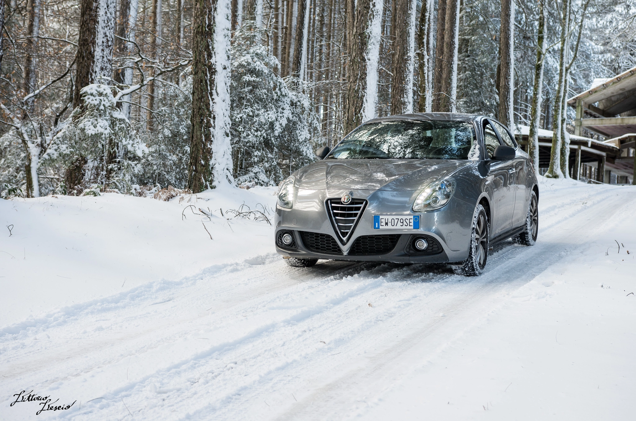 Pentax K-5 II sample photo. Giulietta on the snow photography