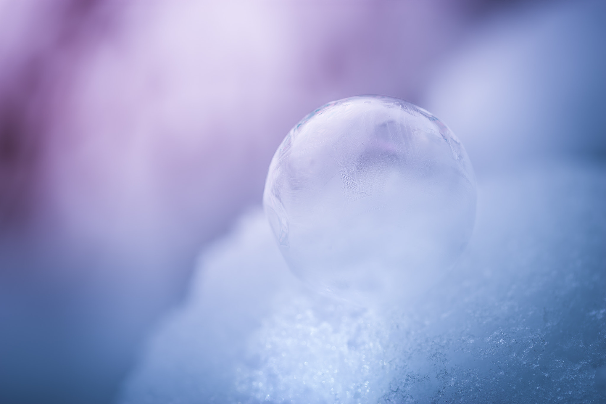 Sony a7 II + 100mm F2.8 G SSM OSS sample photo. Frosted bubble... photography