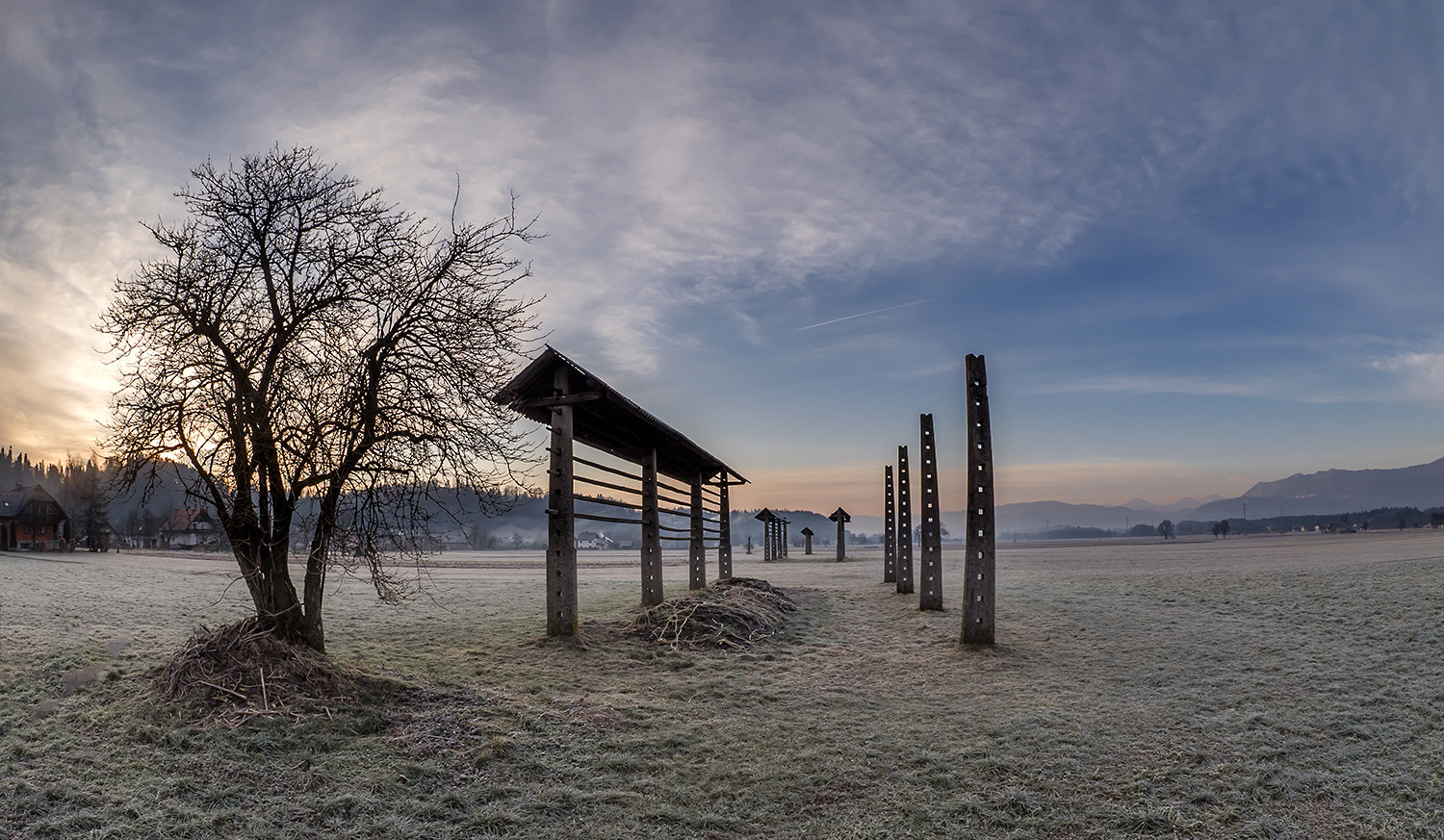 Panasonic Lumix DMC-GX8 + OLYMPUS M.8mm F1.8 sample photo. Winter morning iii. photography