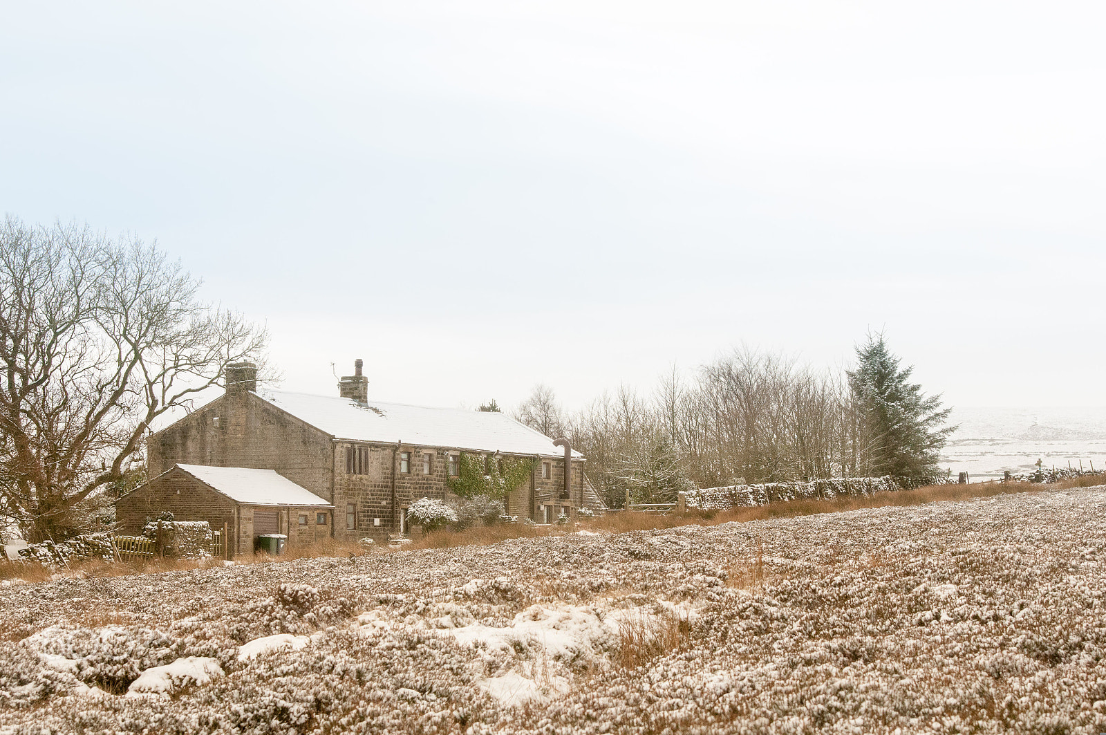 Sigma 70-200mm F2.8 EX DG OS HSM sample photo. Yorkshire photography