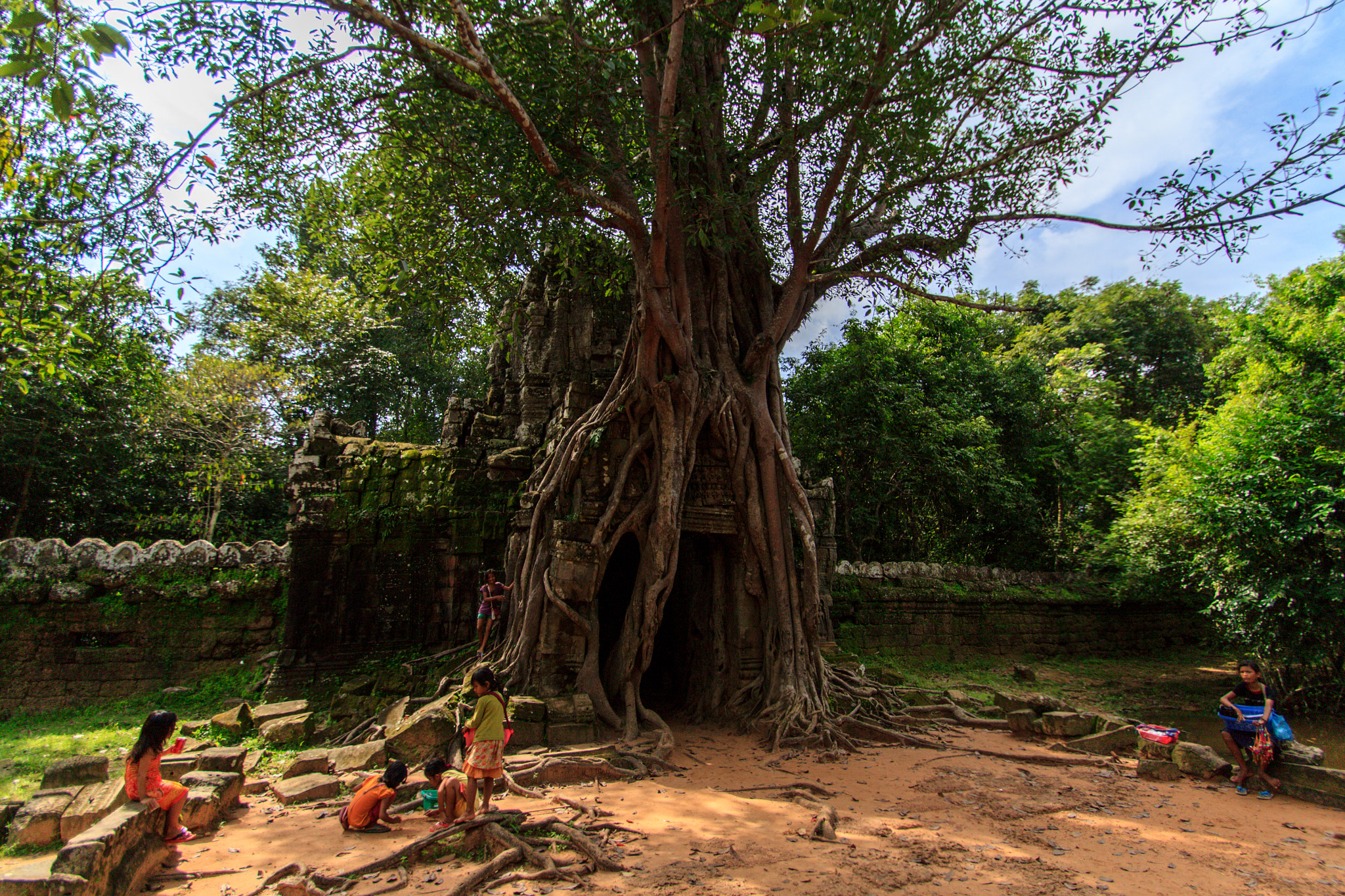 Canon EOS 500D (EOS Rebel T1i / EOS Kiss X3) sample photo. Under the big tree photography