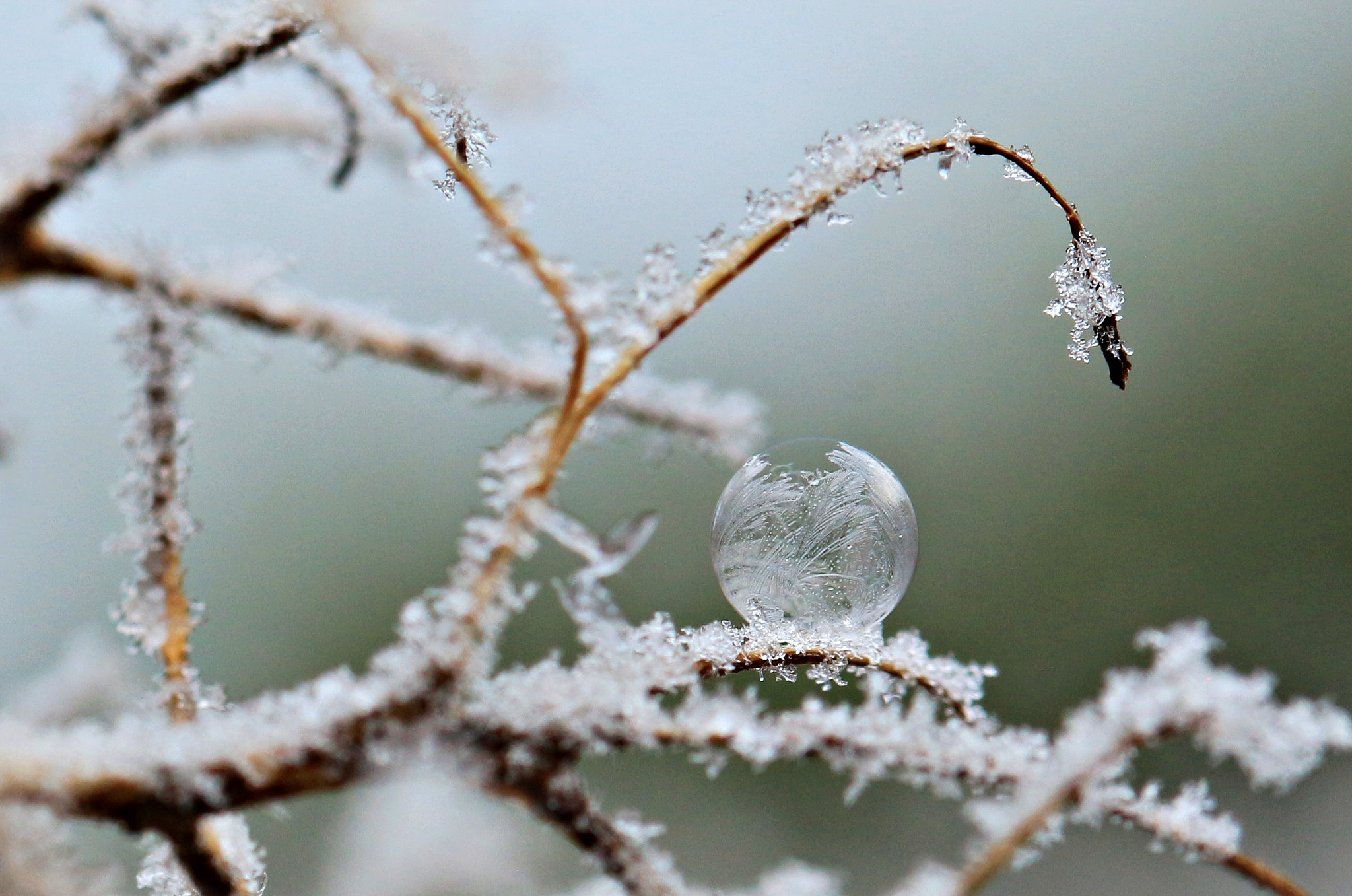 Canon EF 100mm F2.8 Macro USM sample photo. Frozen bubble photography