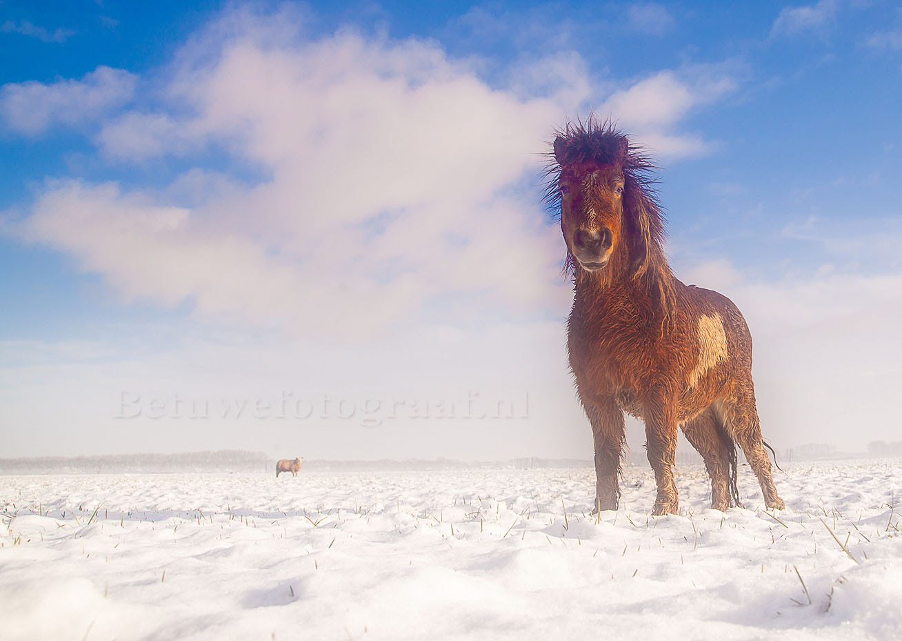 Sigma 24-105mm f/4 DG OS HSM | A sample photo. Dressed for the winter photography