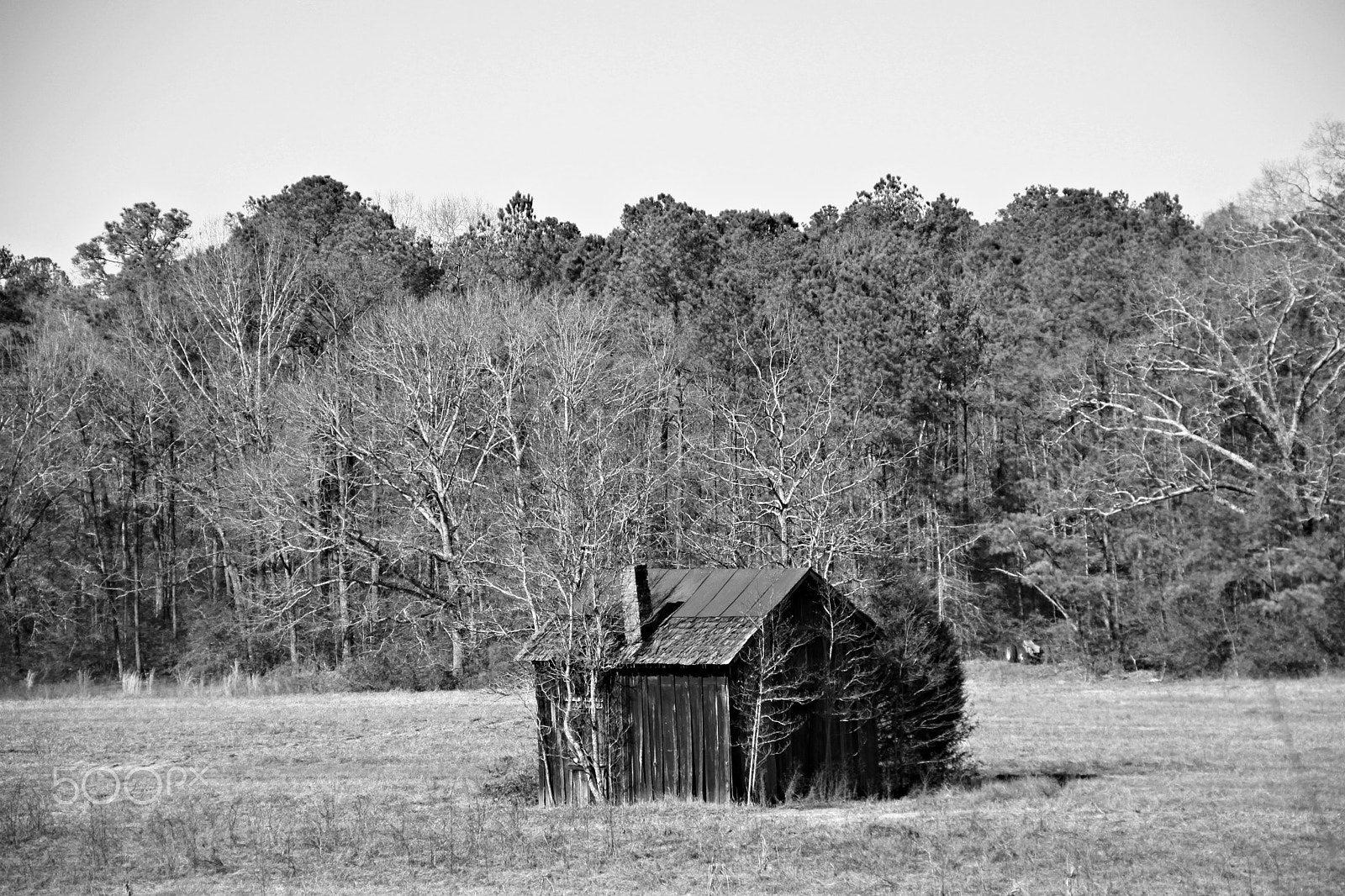 Canon EOS 500D (EOS Rebel T1i / EOS Kiss X3) sample photo. Abandoned photography