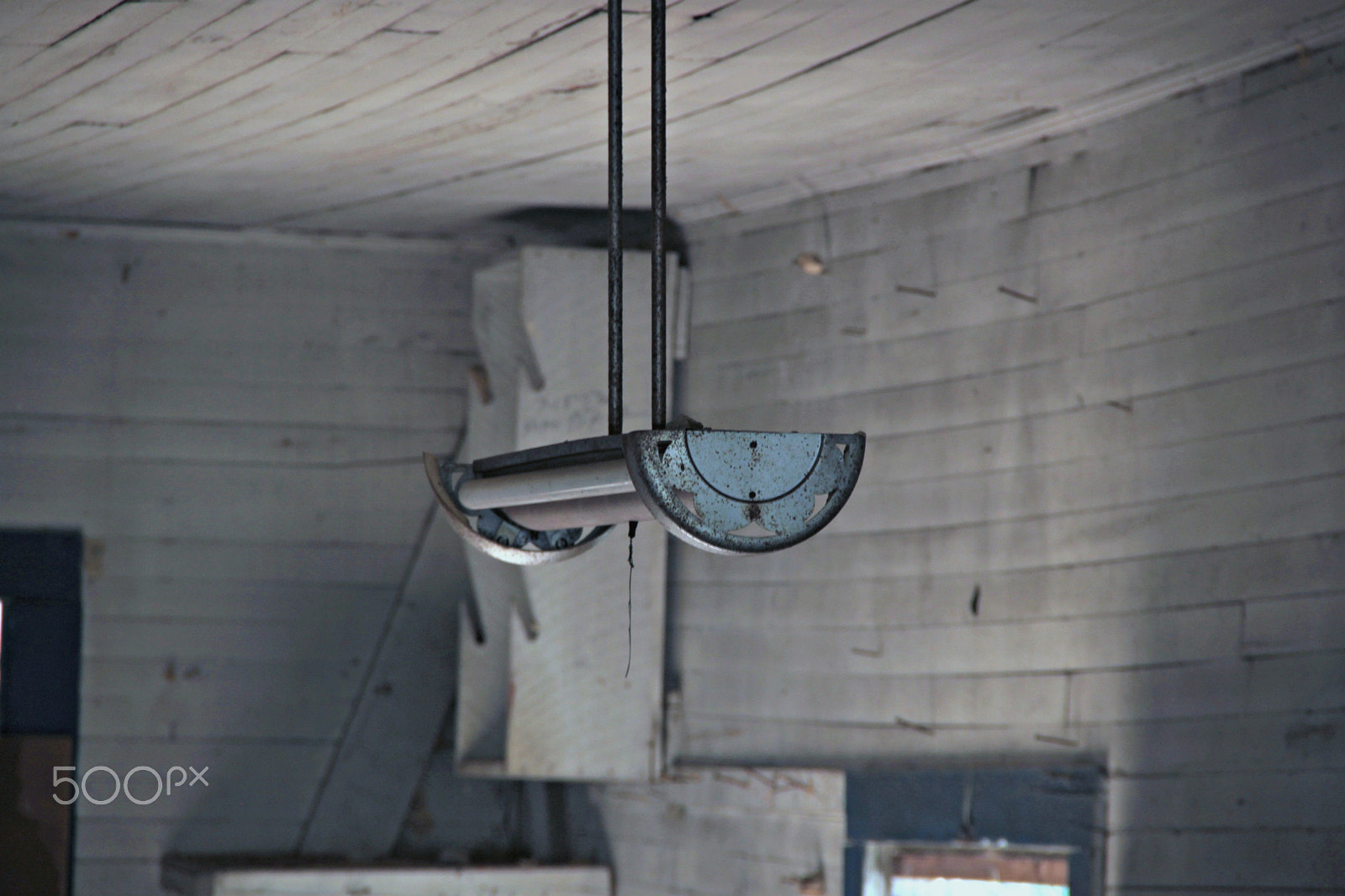 Canon EOS 500D (EOS Rebel T1i / EOS Kiss X3) sample photo. Hanging around photography
