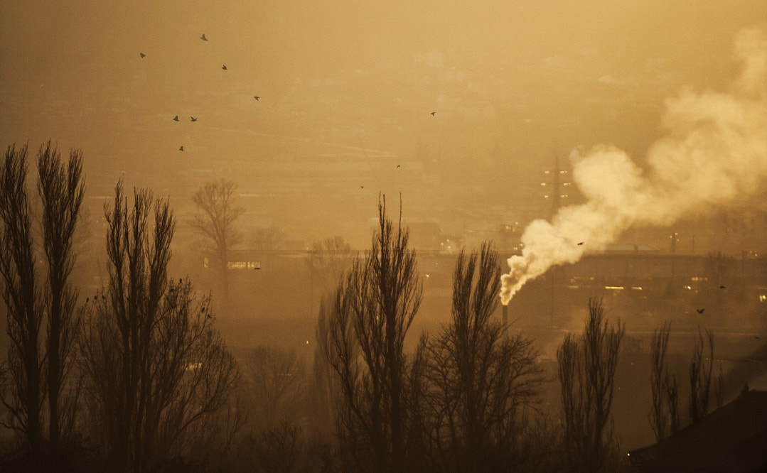 Canon EF 100-300mm f/5.6 sample photo. Smoky day photography