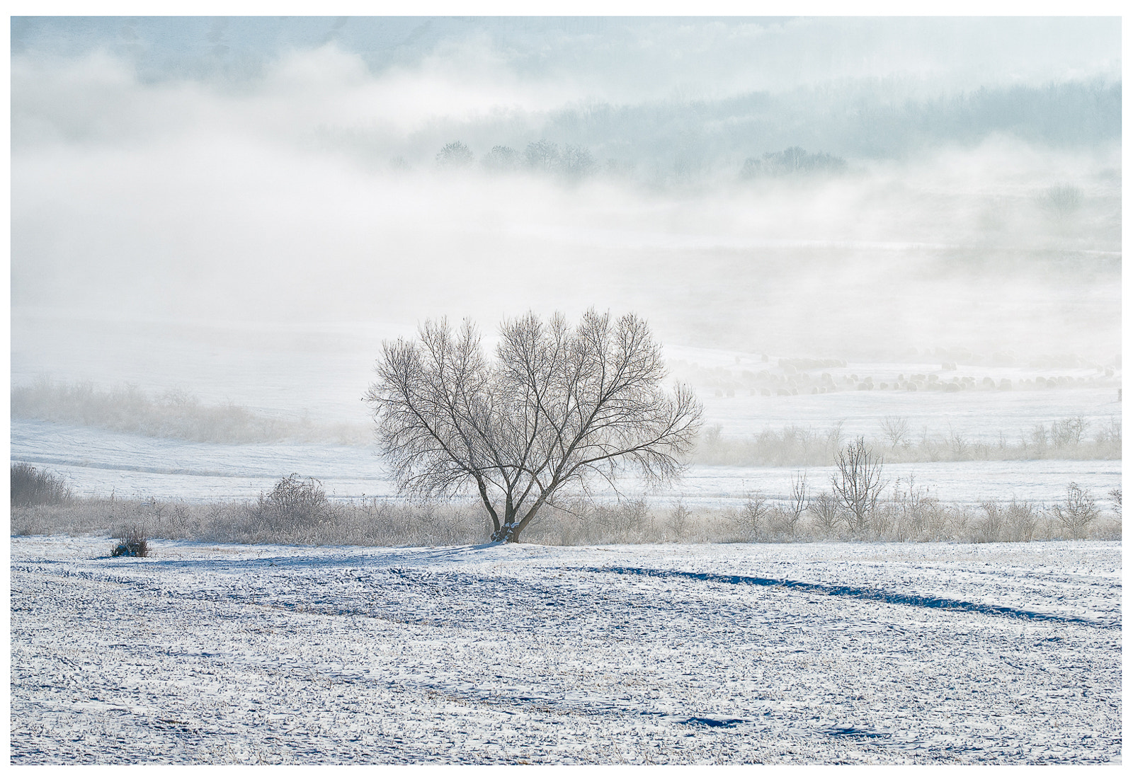 Nikon D60 sample photo. Transylvanian morning... photography