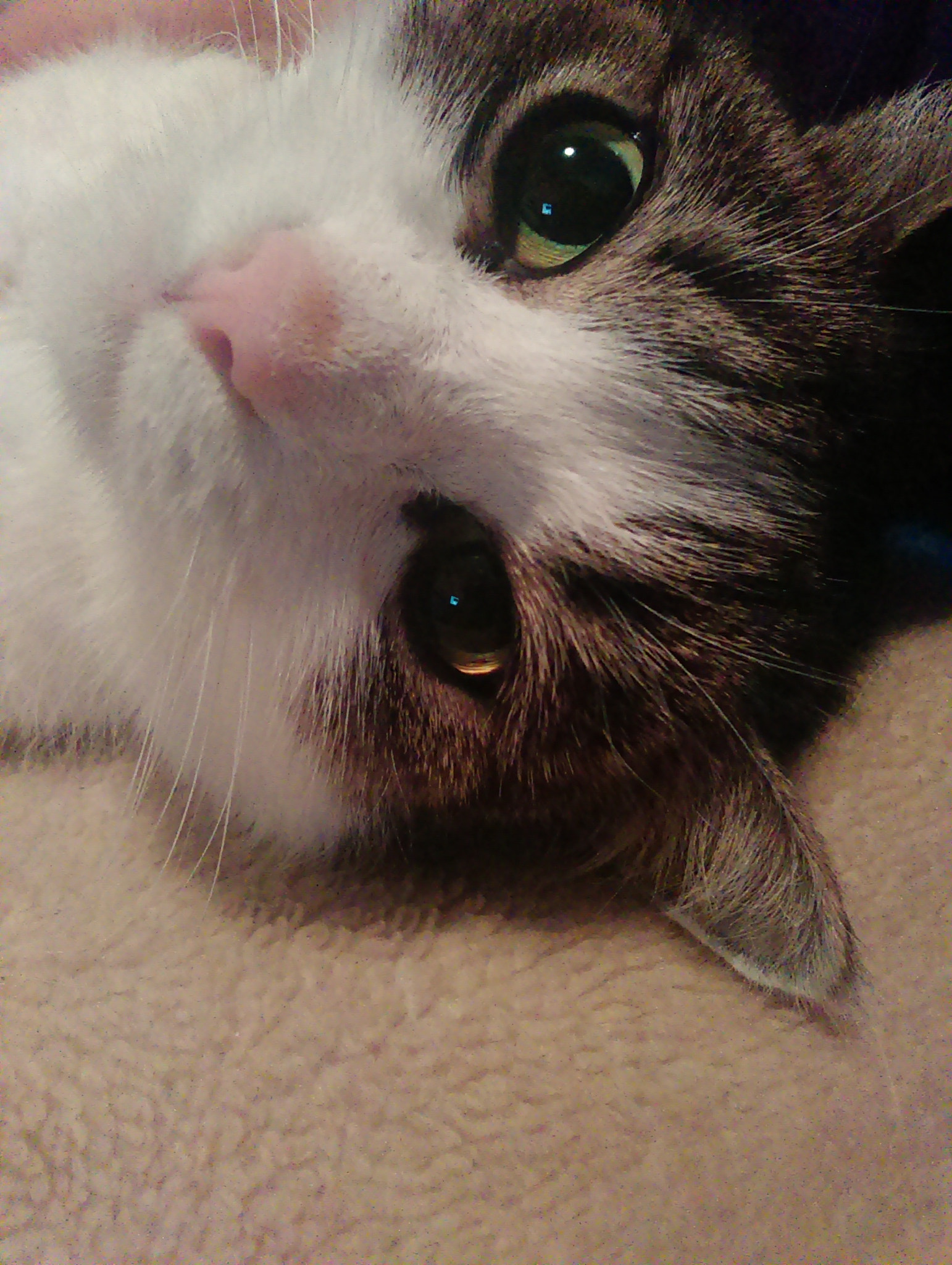 HTC DESIRE 610 sample photo. Img_20150117_182608.jpg photography