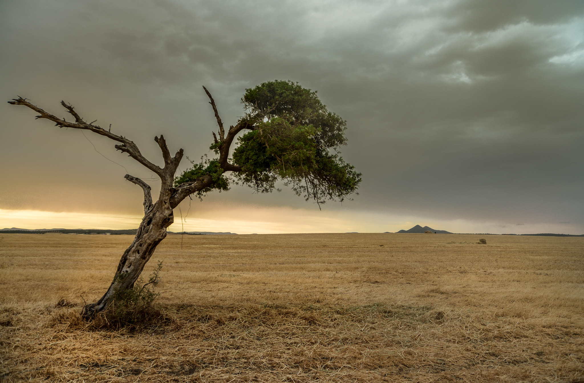 Nikon D600 sample photo. Solitude photography