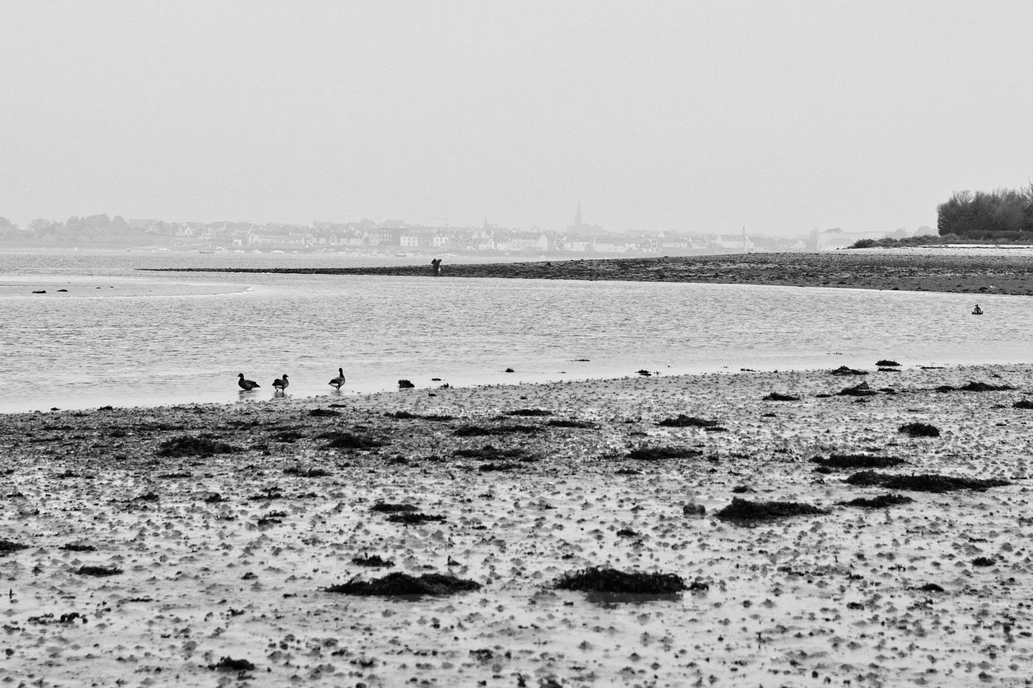 Sigma SD1 Merrill sample photo. Winter in brittany 02 photography