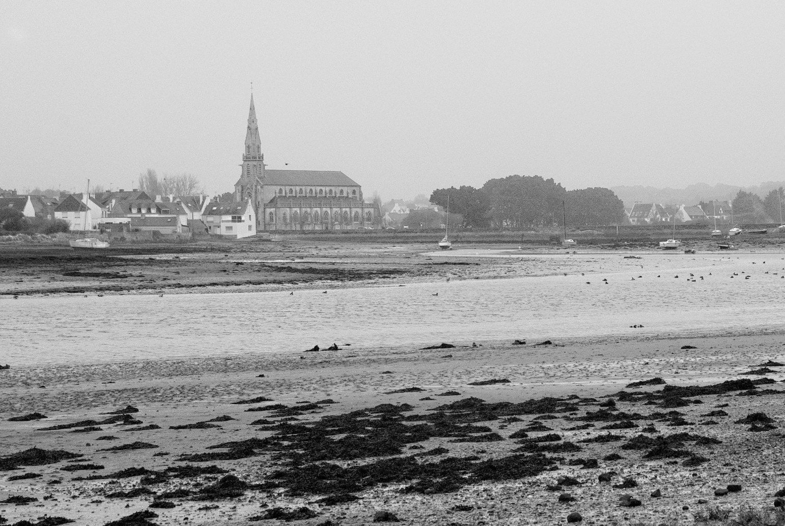 Sigma SD1 Merrill sample photo. Winter in brittany 03 photography
