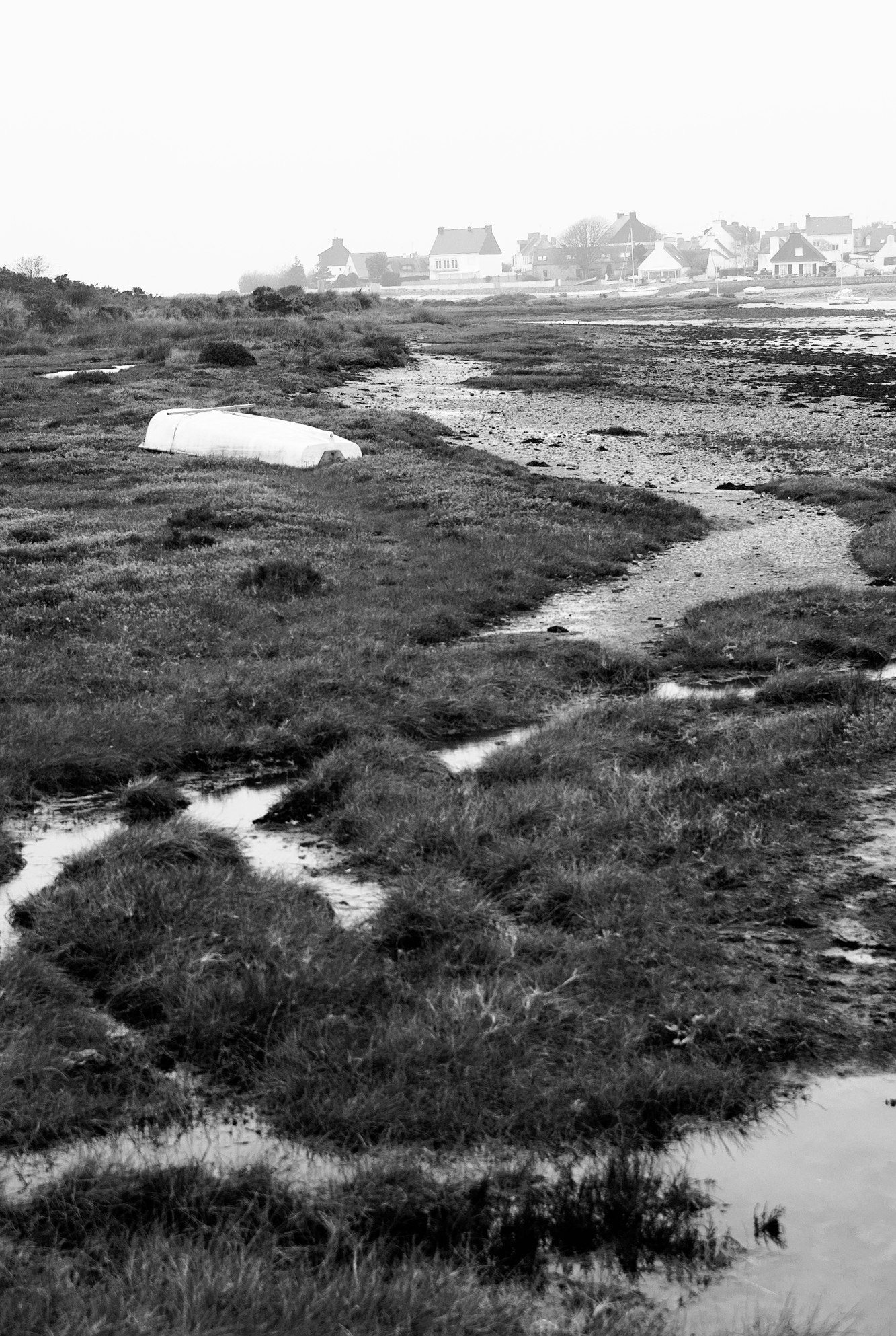 Sigma SD1 Merrill sample photo. Winter in brittany 04 photography