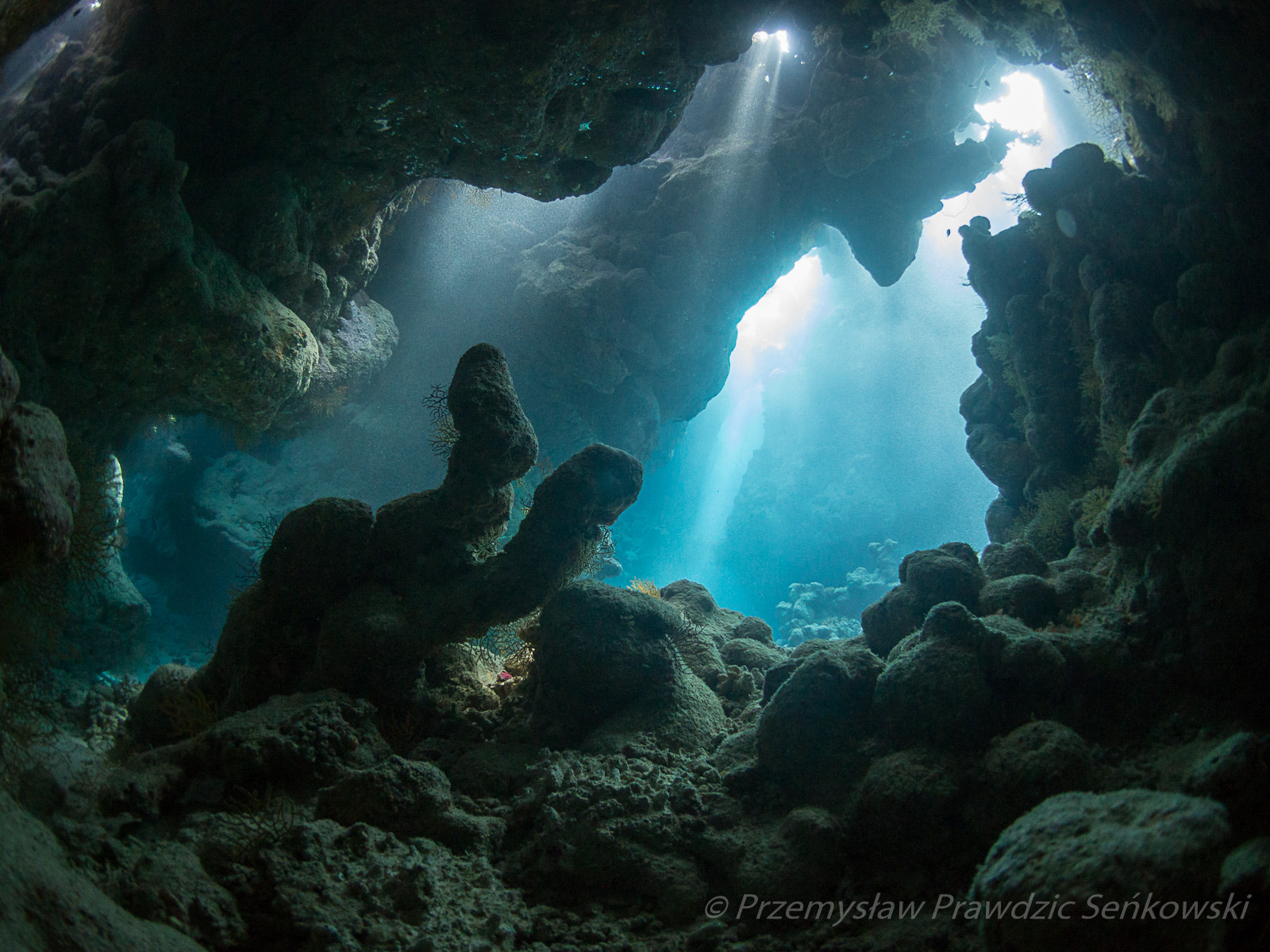 LUMIX G FISHEYE 8/F3.5 sample photo. Umm khararim photography
