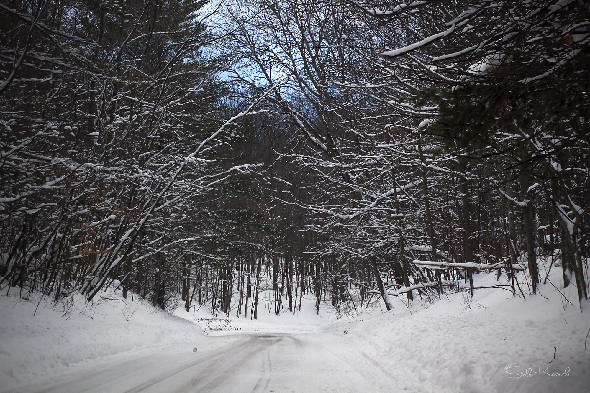 Canon EF 28-90mm f/4-5.6 USM sample photo. The tunnel of trees in northern michigan photography