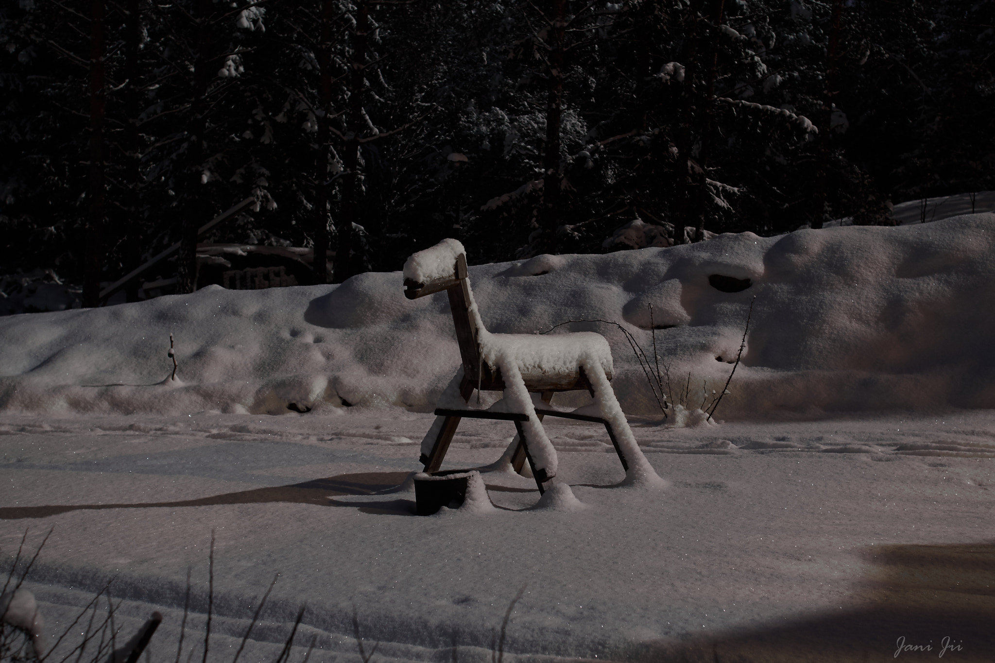 Canon EOS-1D Mark III + Canon EF 20-35mm f/2.8L sample photo. Wooden horse in the winter moonlight photography