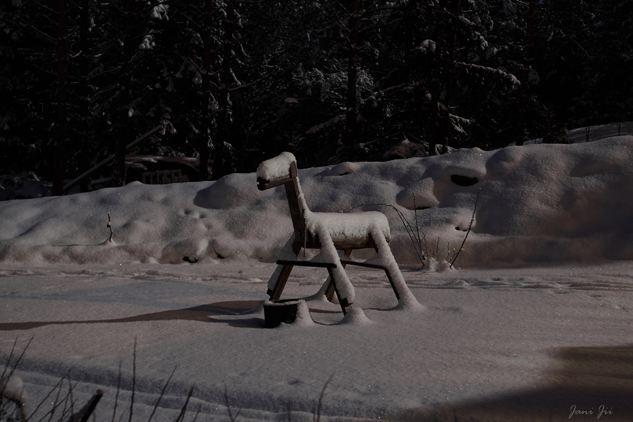 Canon EF 20-35mm f/2.8L sample photo. Wooden horse in the winter moonlight photography