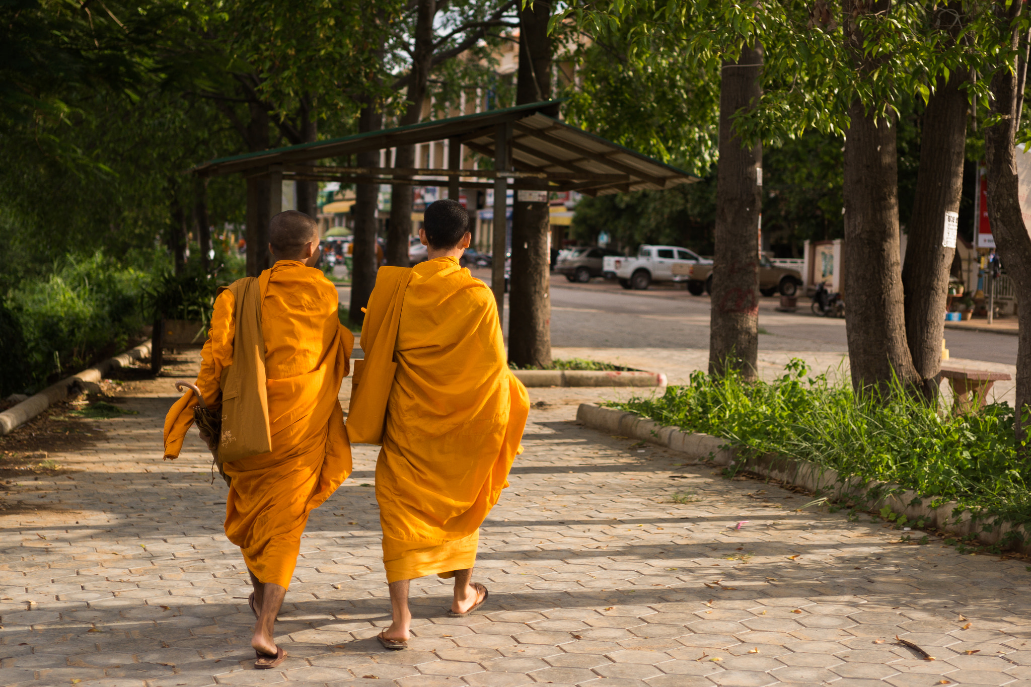 Sony Alpha NEX-7 + E 32mm F1.8 sample photo. Monk's backs photography