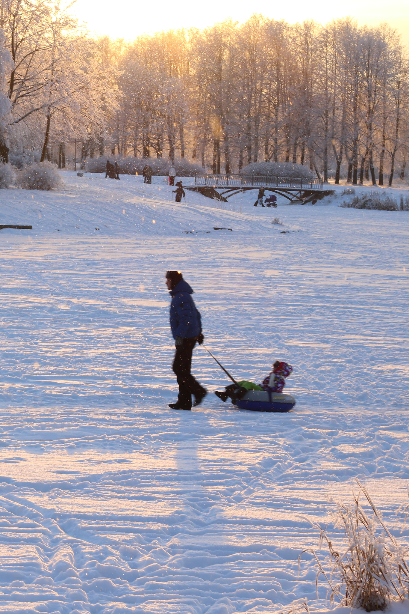 Canon EOS 760D (EOS Rebel T6s / EOS 8000D) + Canon EF 50mm F1.4 USM sample photo. My magic winter photography