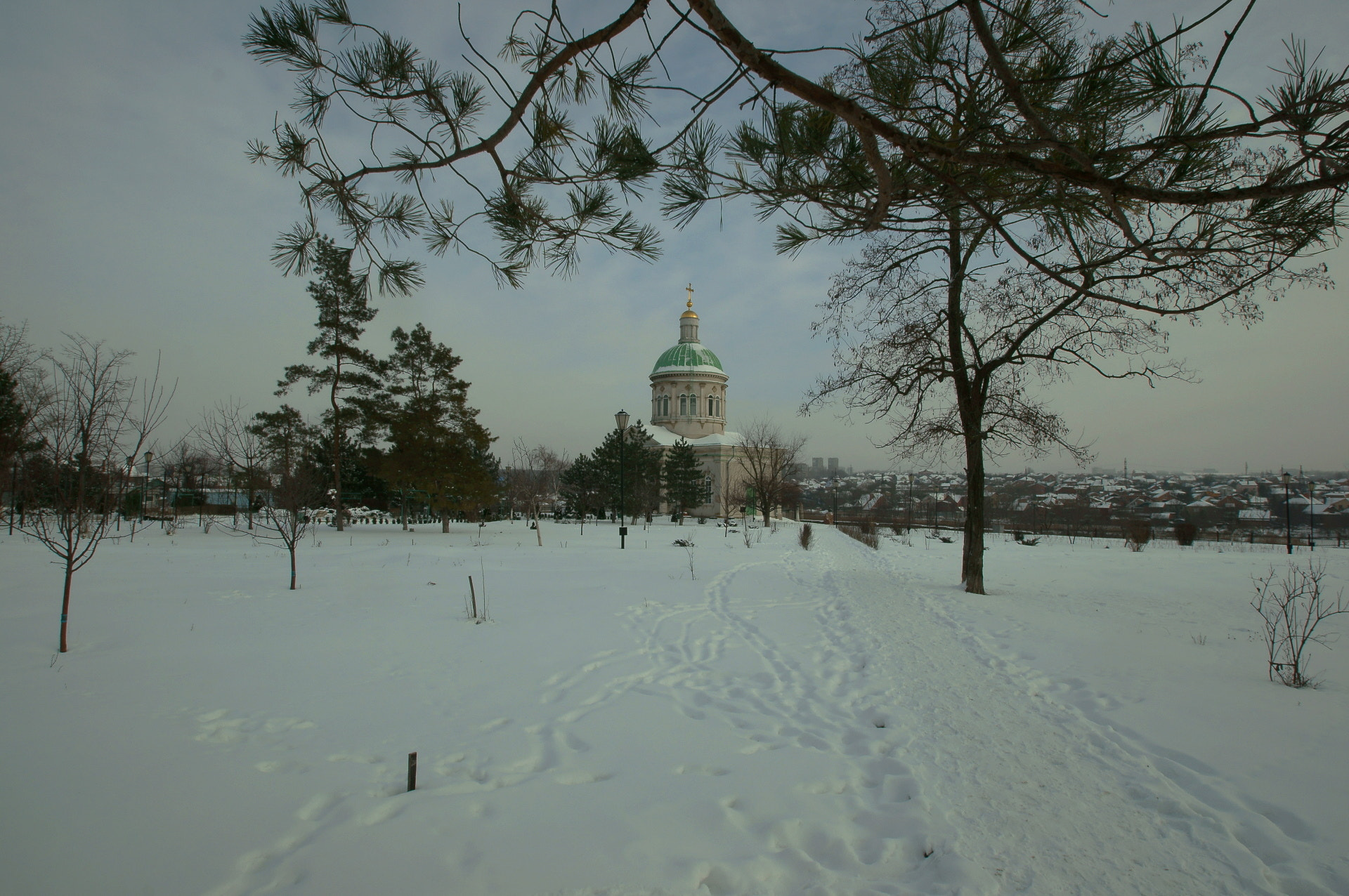 Sony SLT-A57 + Tamron Lens (255) sample photo. Winter day... photography