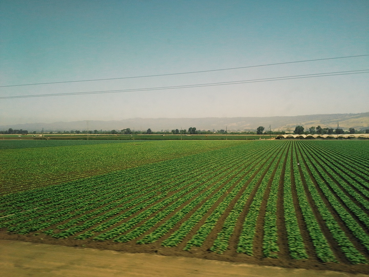 Samsung SGH-I577 sample photo. Farming along i-5 california photography