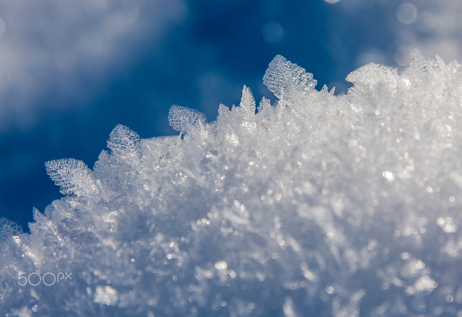 Canon EOS 40D + Sigma 24-70mm F2.8 EX DG Macro sample photo. Frost on the snow photography