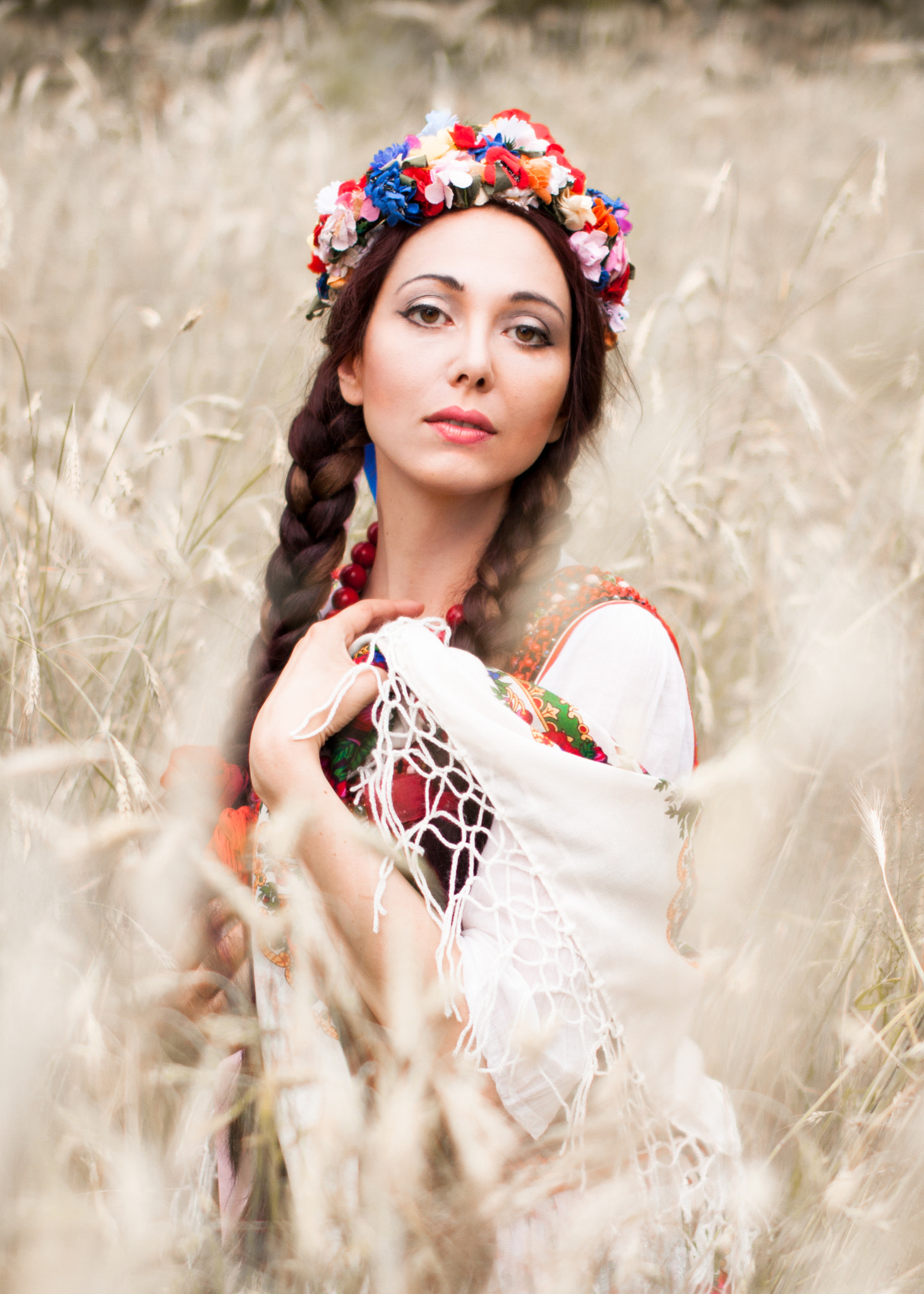 Sigma 50mm F1.4 EX DG HSM sample photo. Triticum aestivum photography