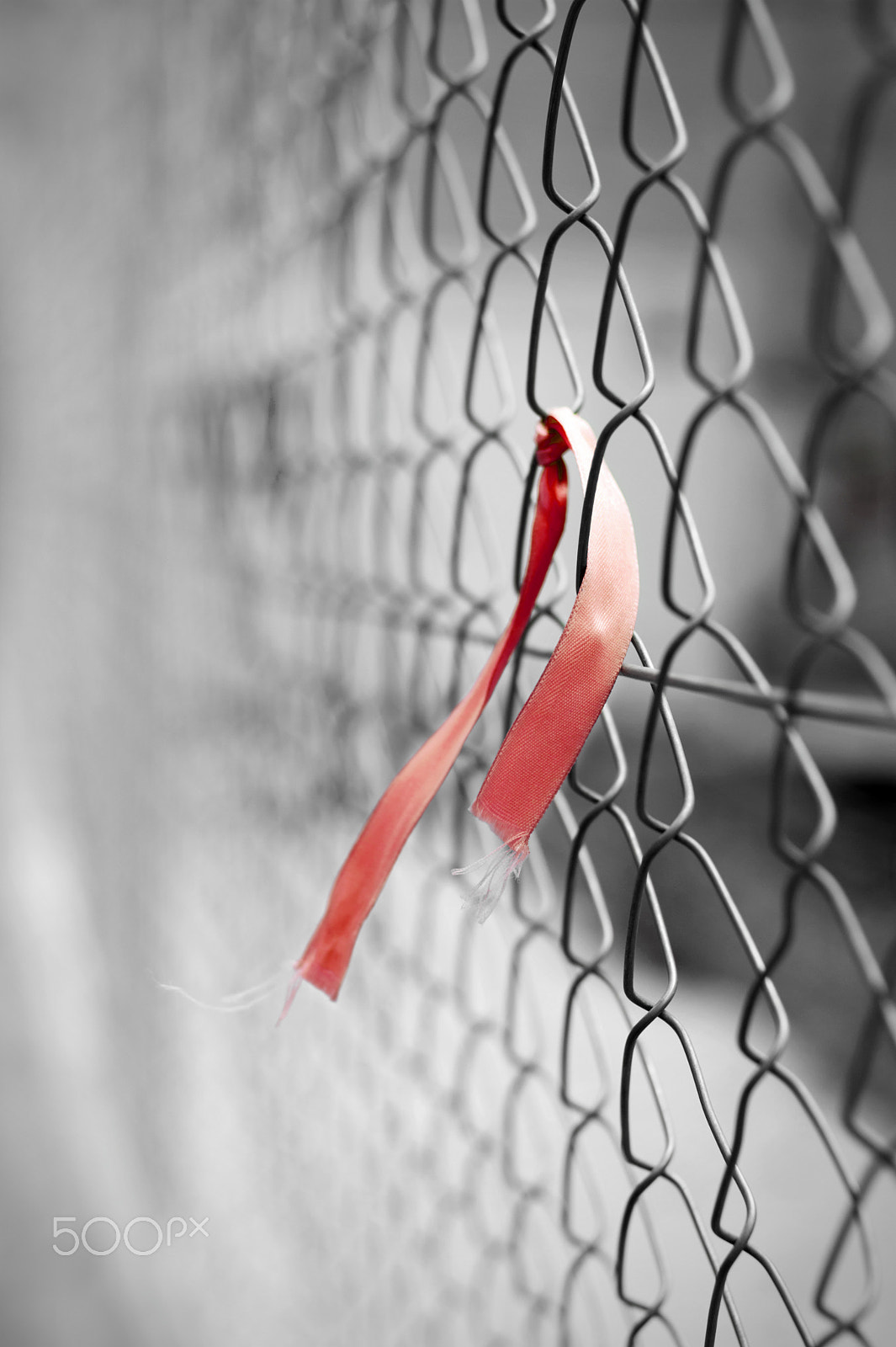 Sony Alpha DSLR-A350 + Minolta AF 50mm F1.7 sample photo. Red ribbon on chain link fence photography