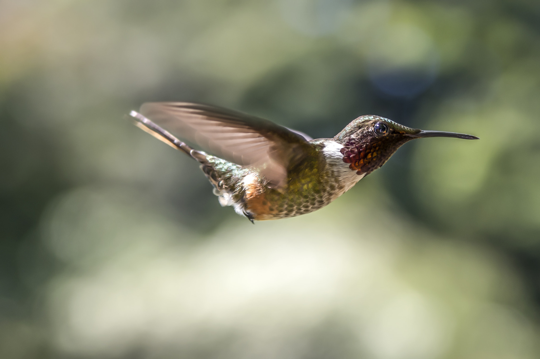 Pentax K-3 II sample photo. Flight photography