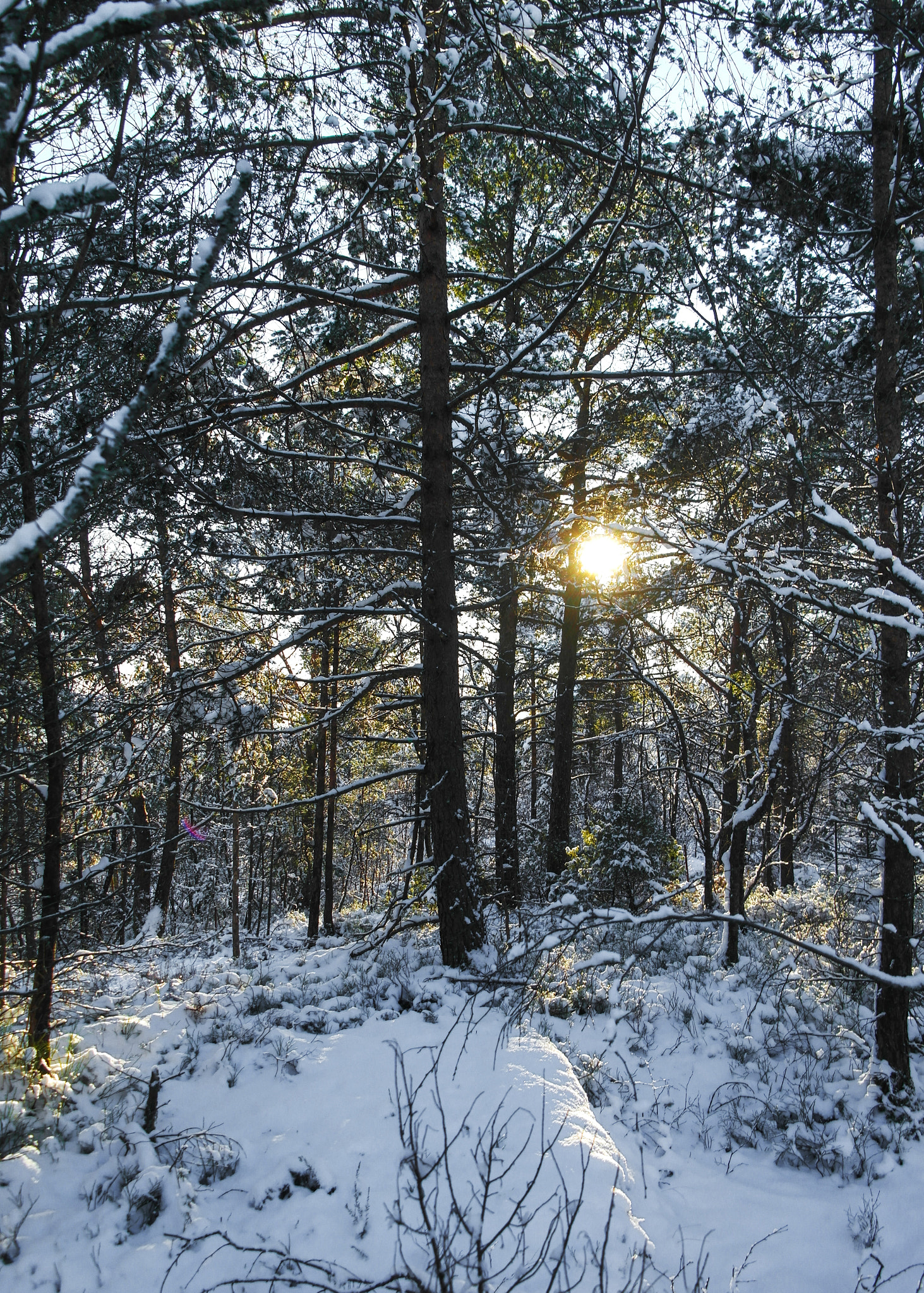 Samsung NX210 sample photo. Winter photography