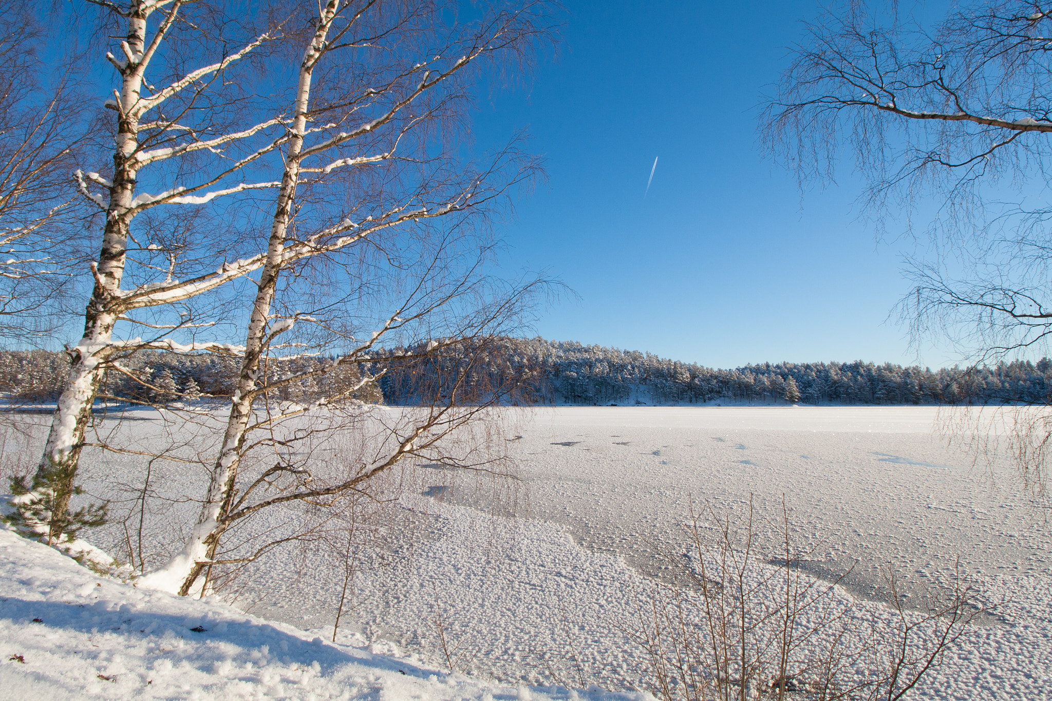 Canon EOS 40D + Canon EF-S 10-18mm F4.5–5.6 IS STM sample photo. Winter photography