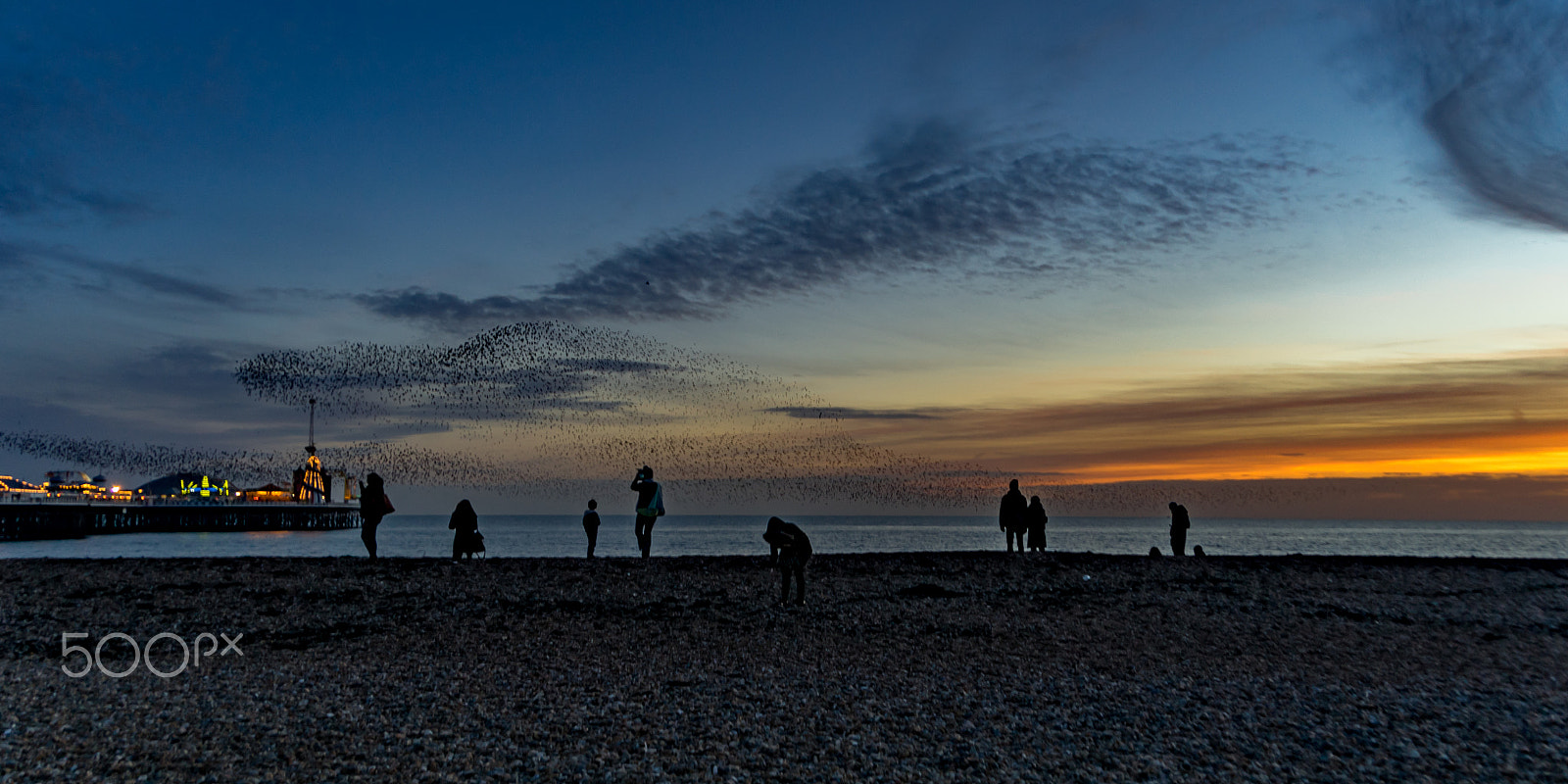 Sony a7R + Sony E 18-200mm F3.5-6.3 OSS sample photo. Sunset murmuration photography