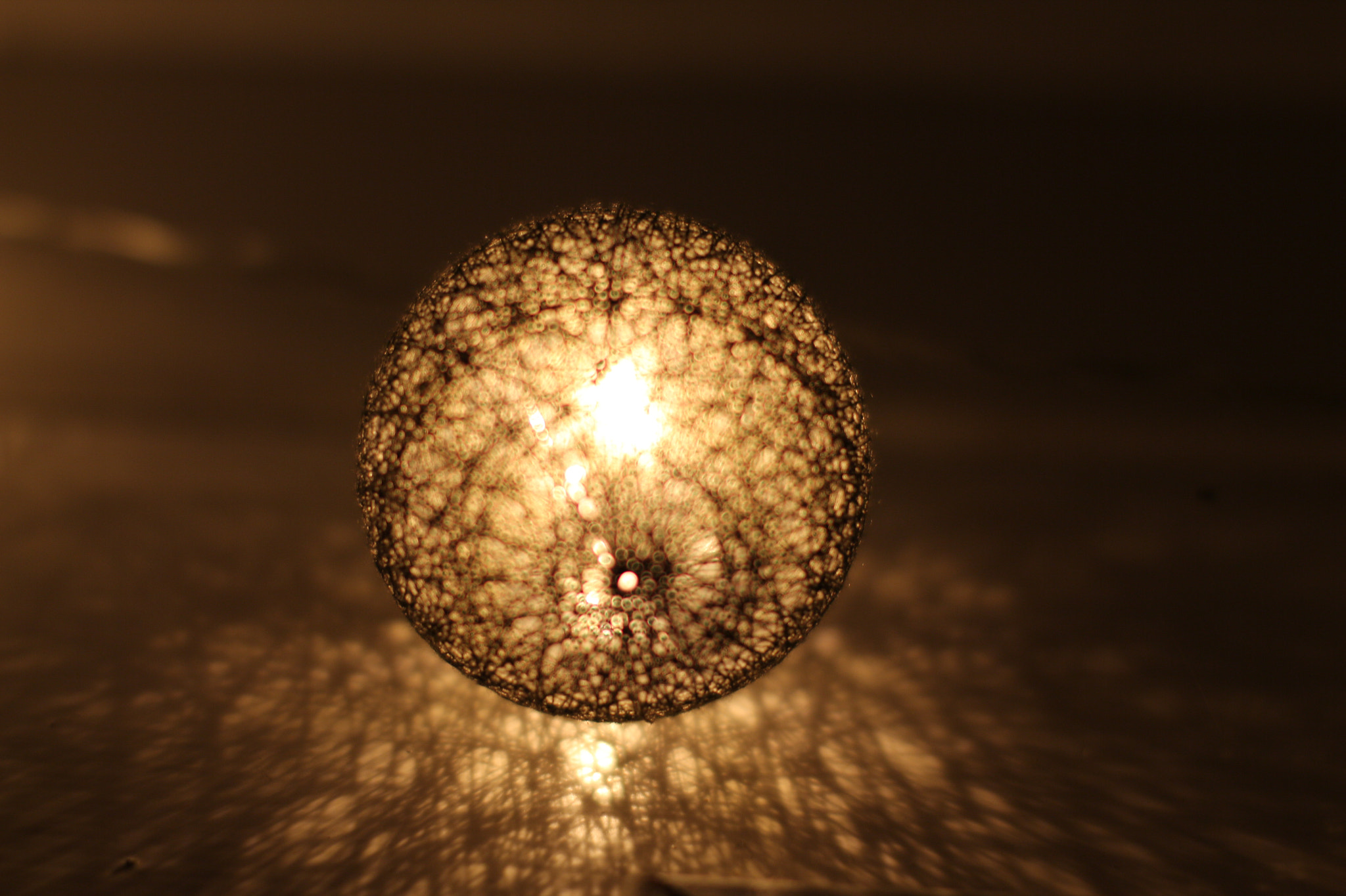 Sigma 50mm F1.4 EX DG HSM sample photo. Light my world photography